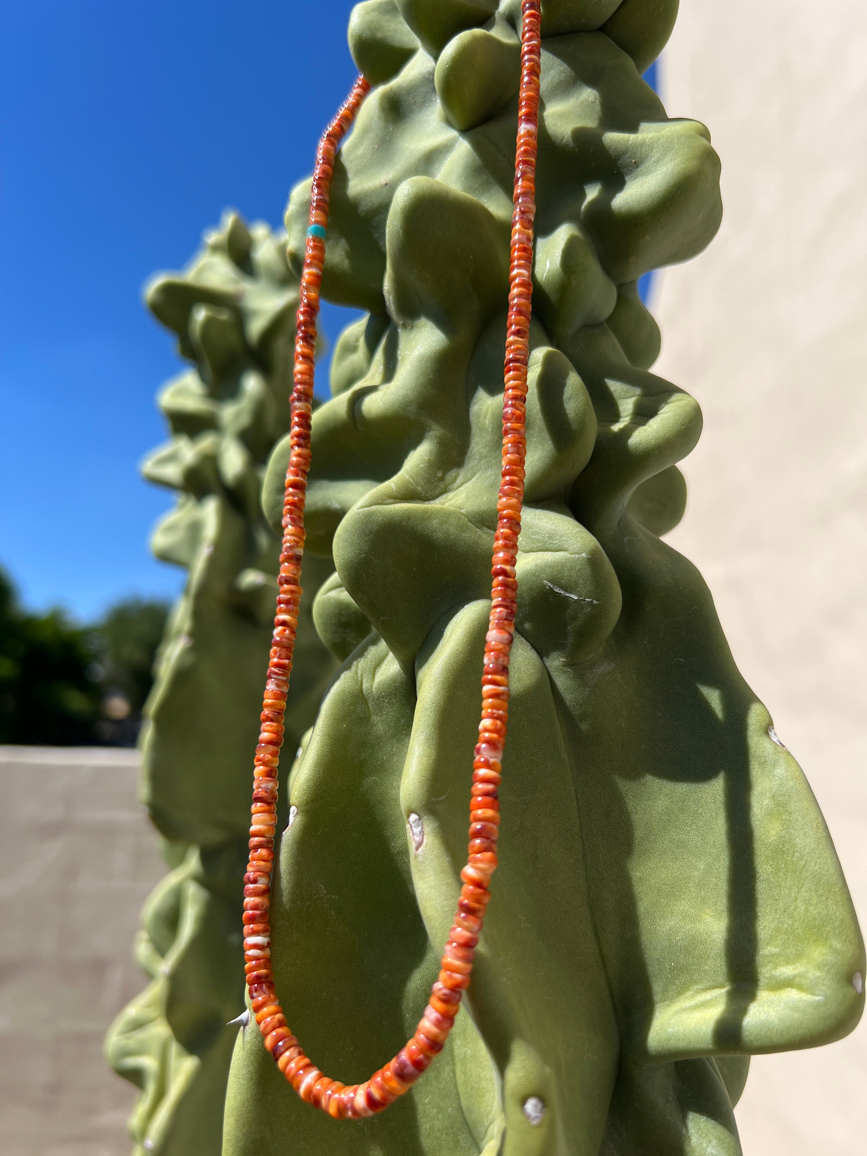 Orange and Red Spiny Oyster Necklace Santo Domingo
