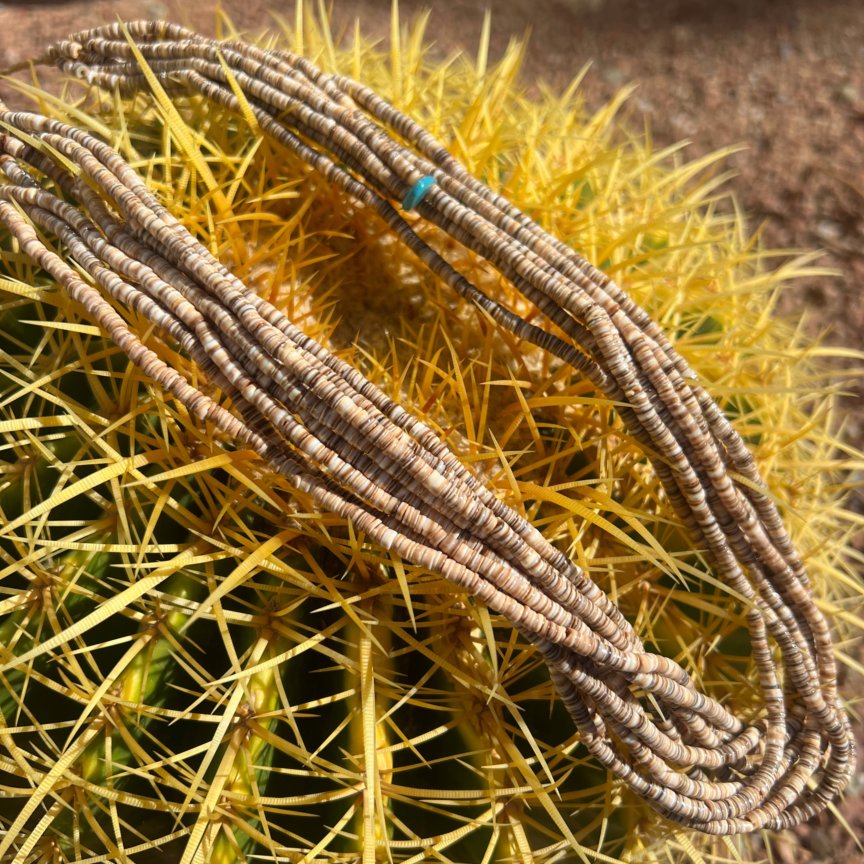 Olive Shell Heishi Necklace Ten Strand Santo Domingo