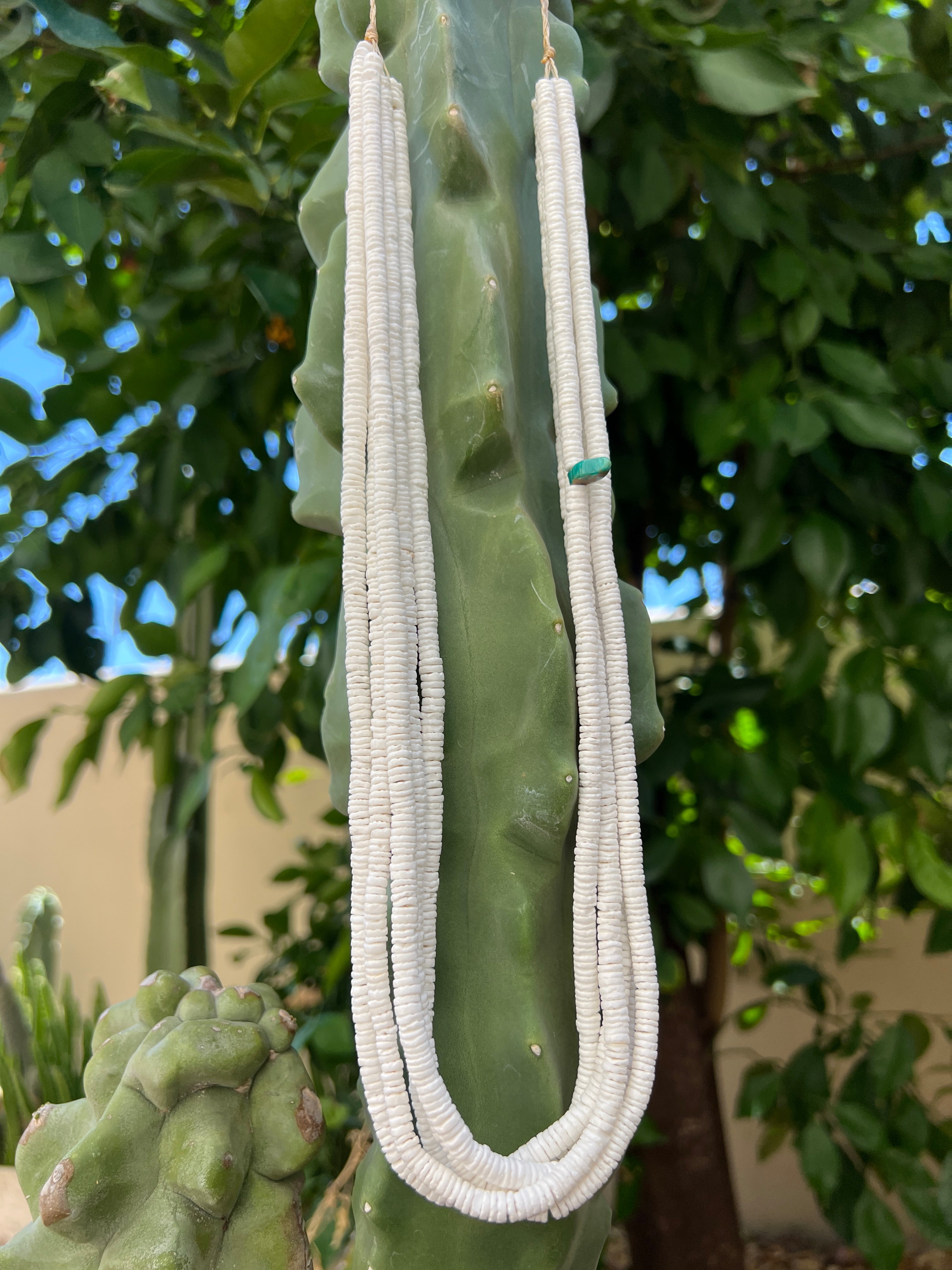White Clam Shell Necklace Santo Domingo