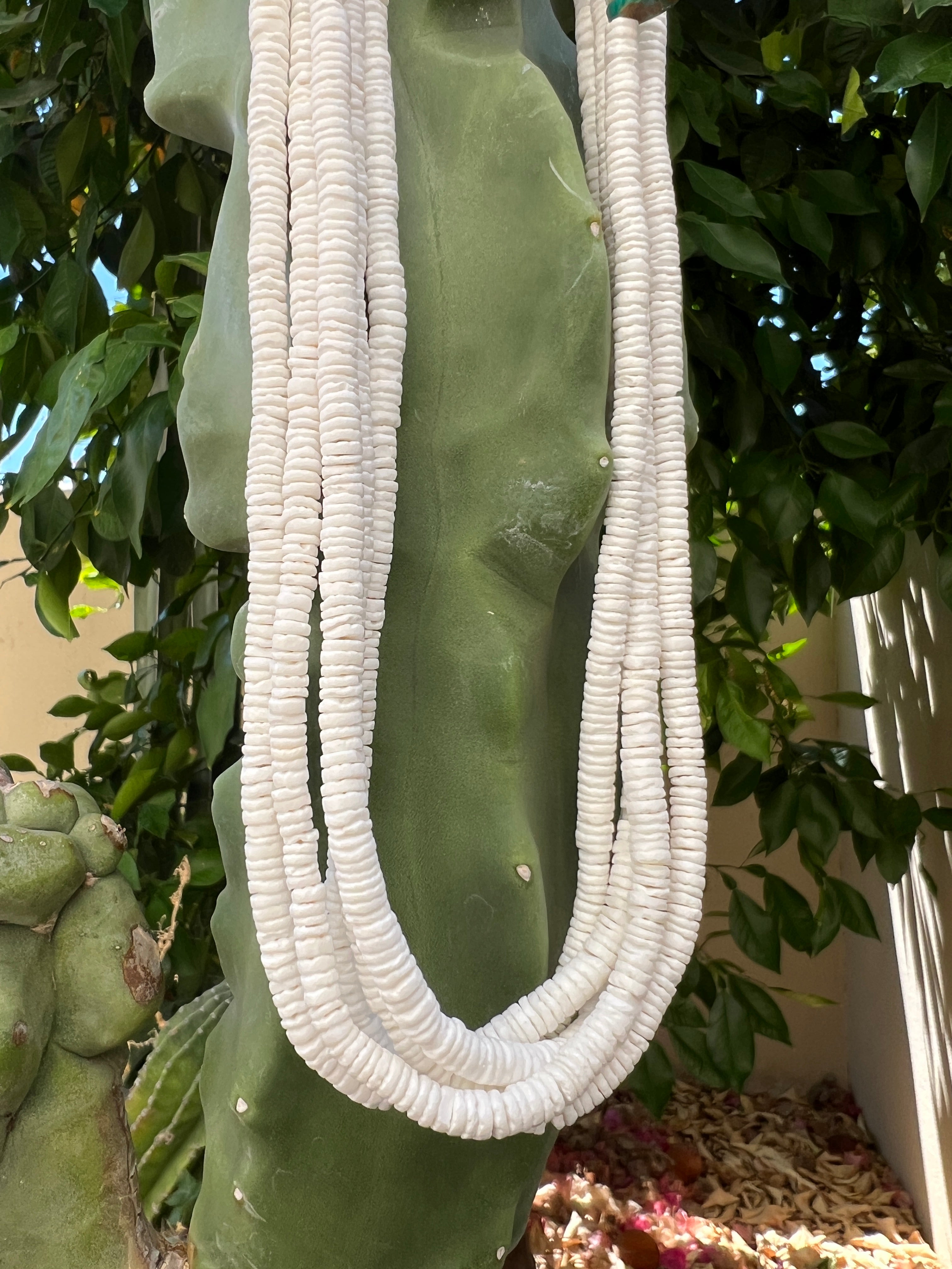 White Clam Shell Necklace Santo Domingo