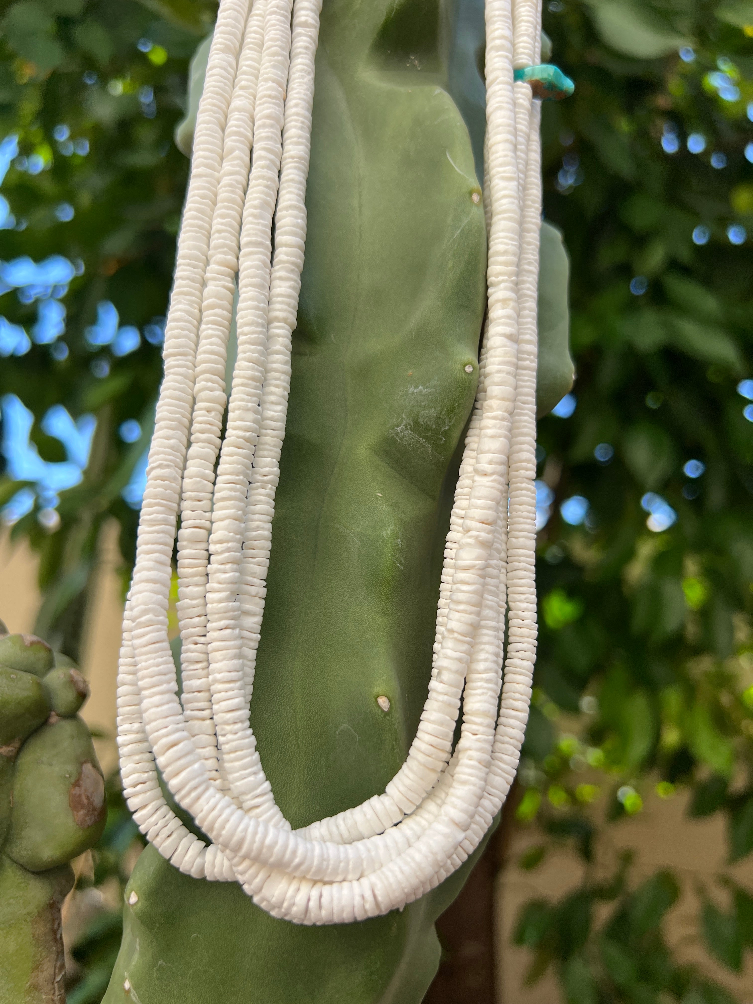 White Clam Shell Necklace Santo Domingo
