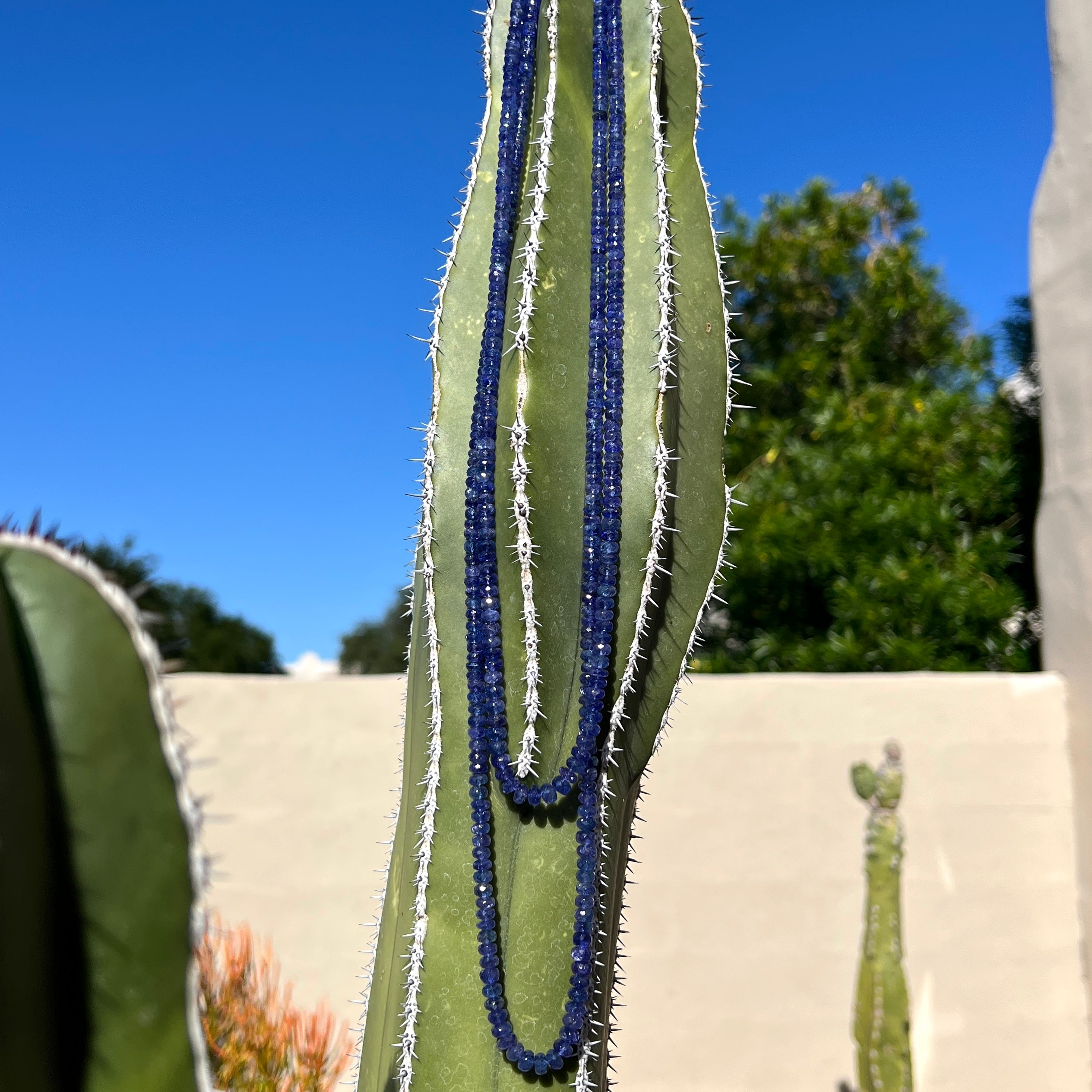 Rare Faceted Tanzanite Graduated Necklace