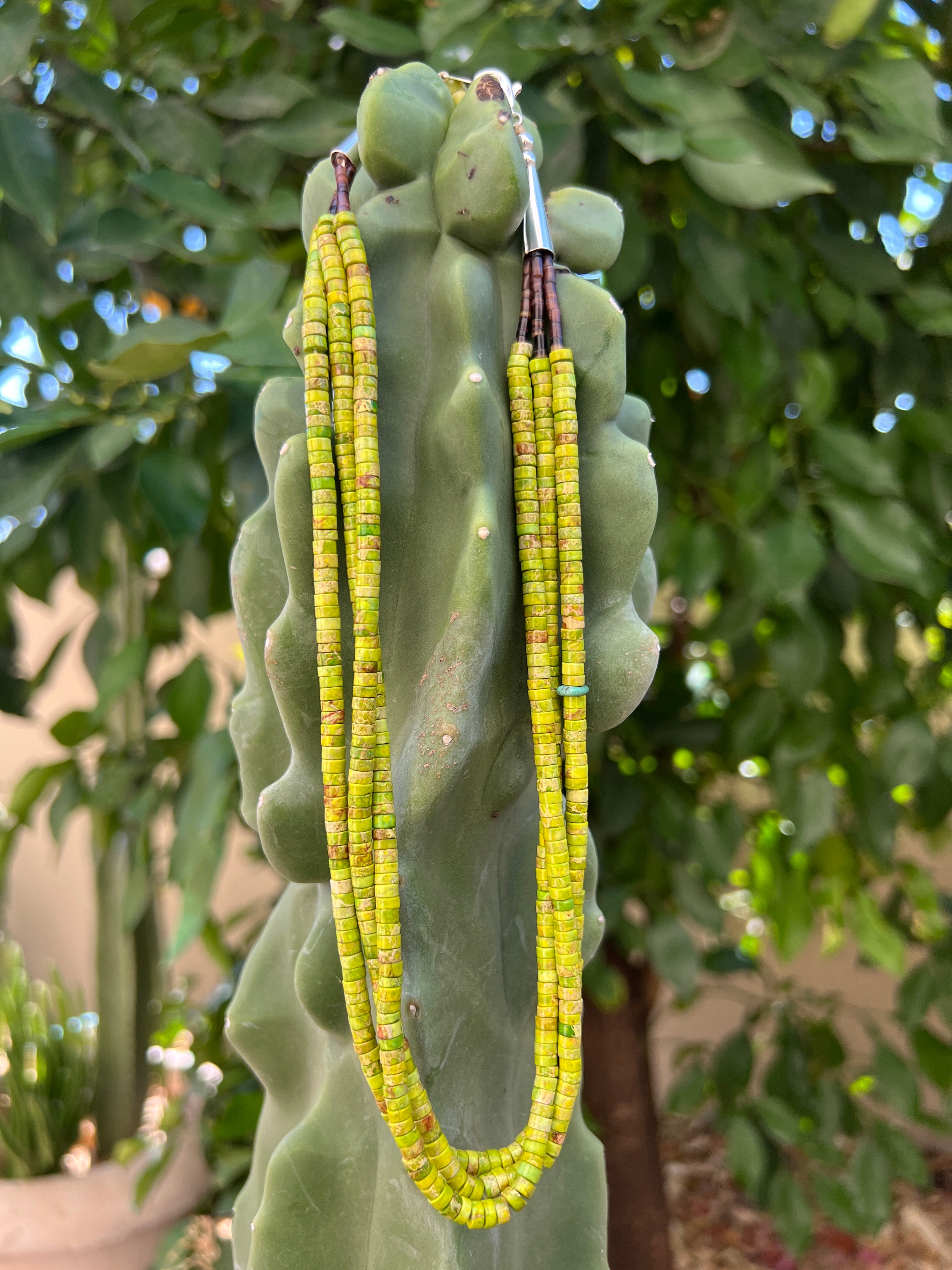Gaspeite and Heishi Santo Domingo Necklace