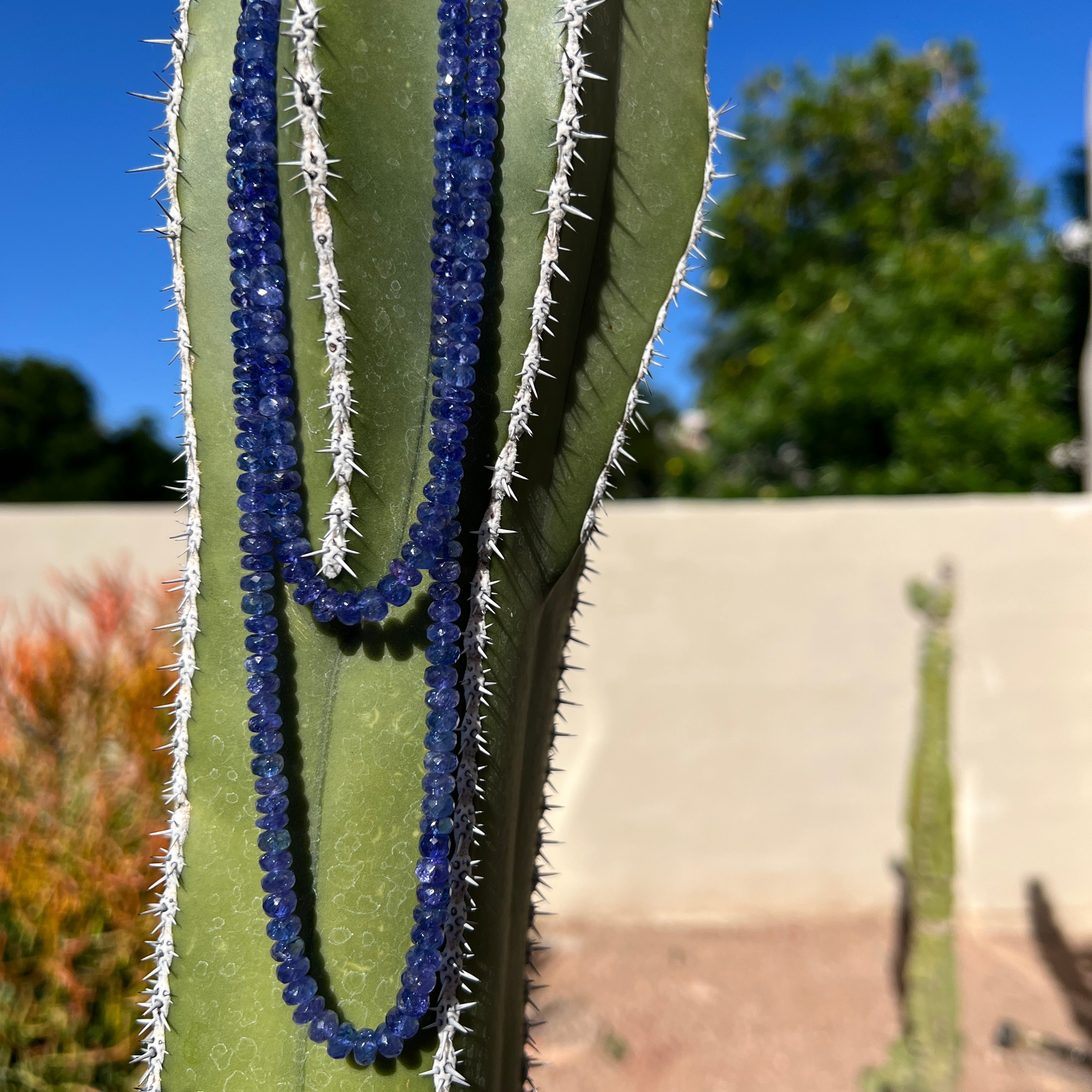 Rare Faceted Tanzanite Graduated Necklace