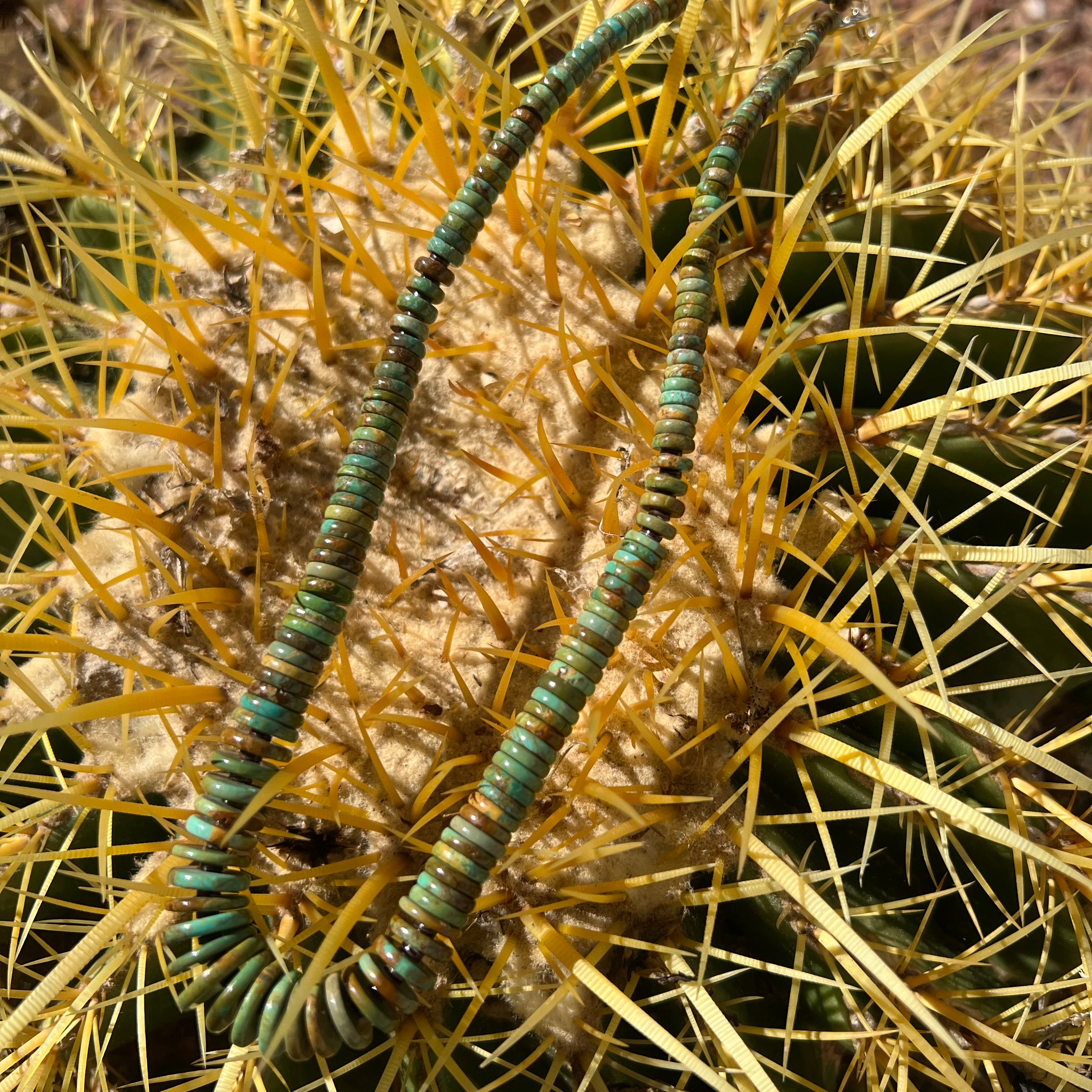 Rare Fox Green Turquoise Graduated Heishi Style Necklace Santo Domingo