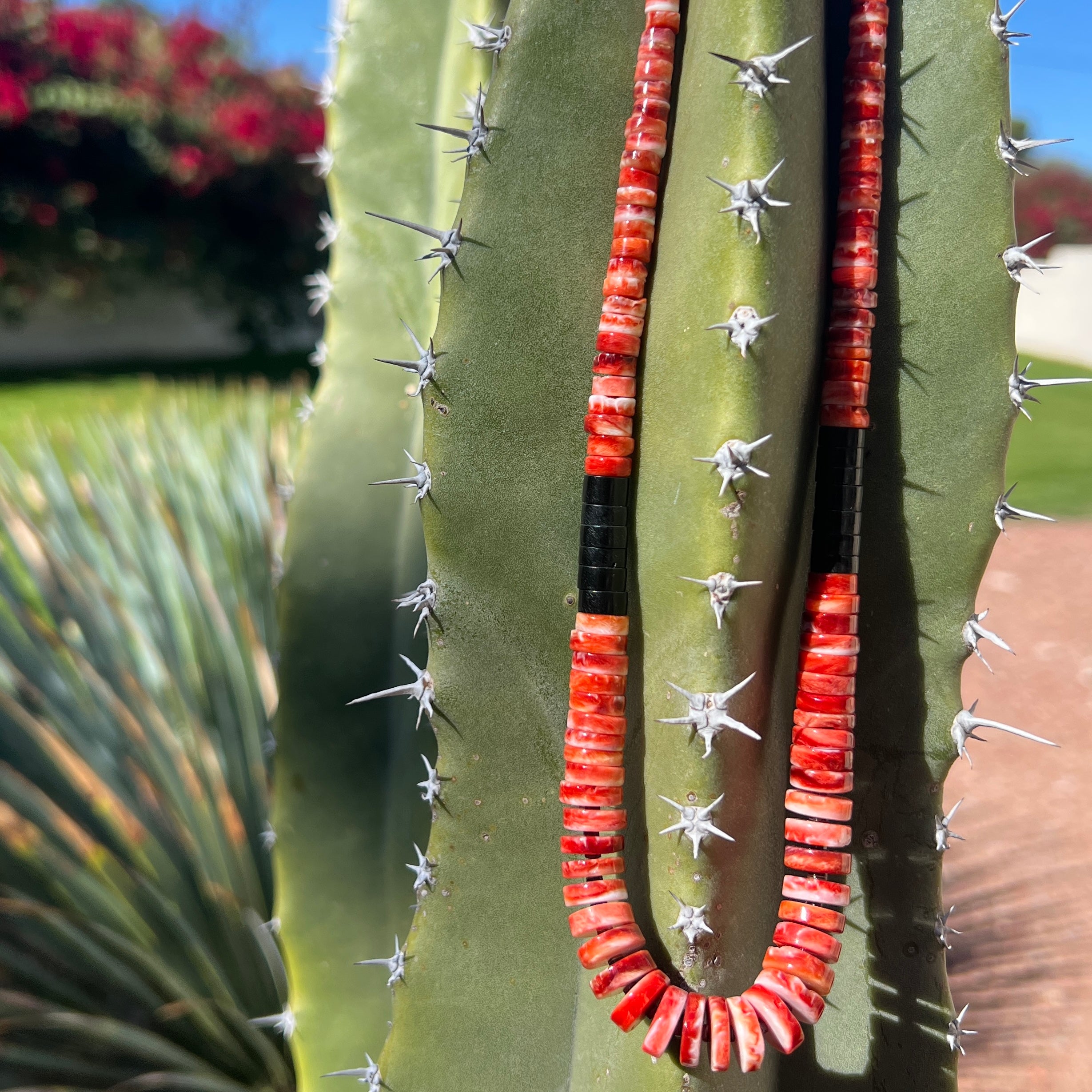 Rare Red Spiny Oyster and Black Jet Graduated Necklace Santo Domingo