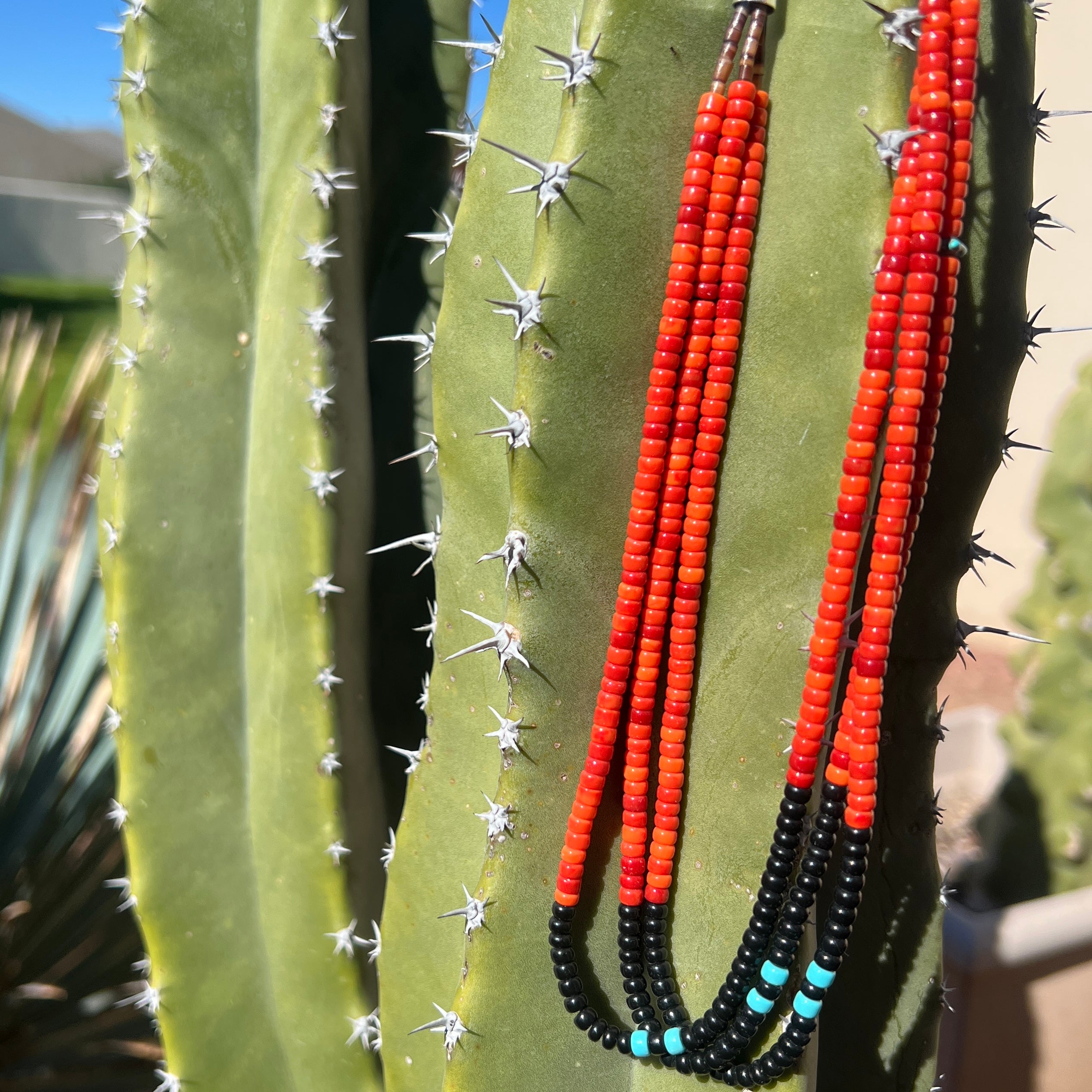 Spiny Oyster, Black Jet Heishi Necklace Santo Domingo