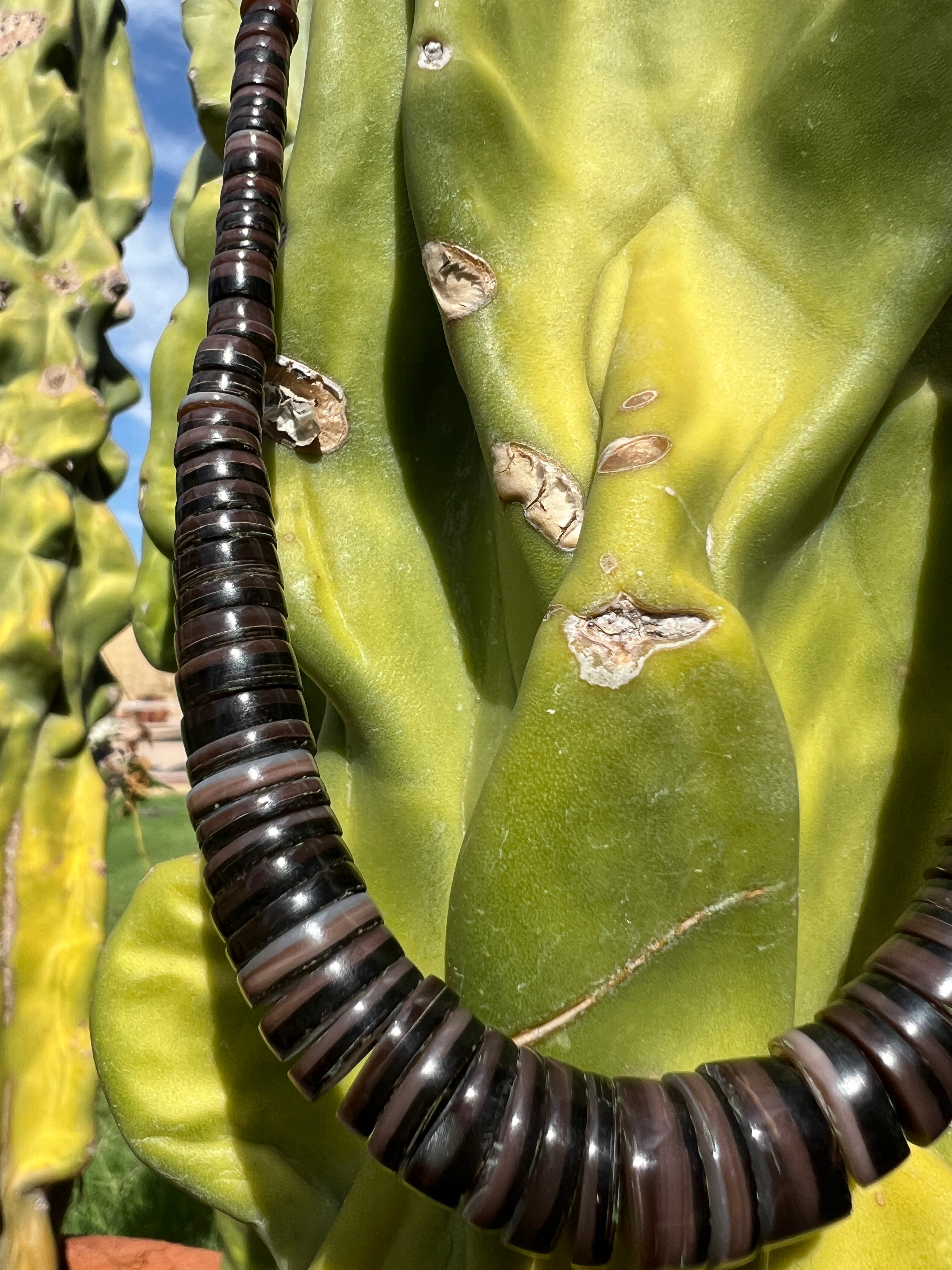 Vintage Natural Shell Heishi Santo Domingo Necklace