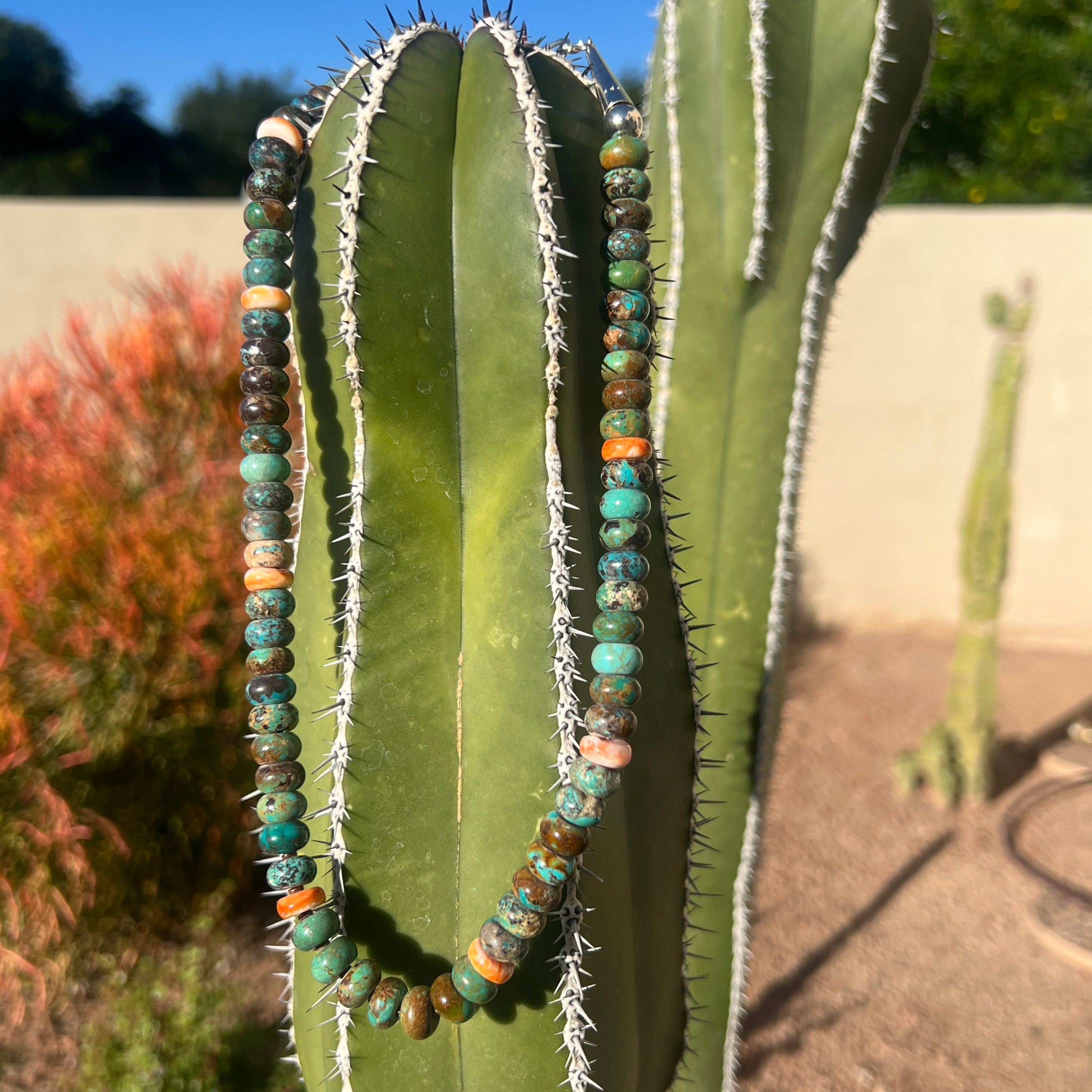 Nevada Green Turquoise Rondelle with Spiny Oyster Shell Santo Domingo