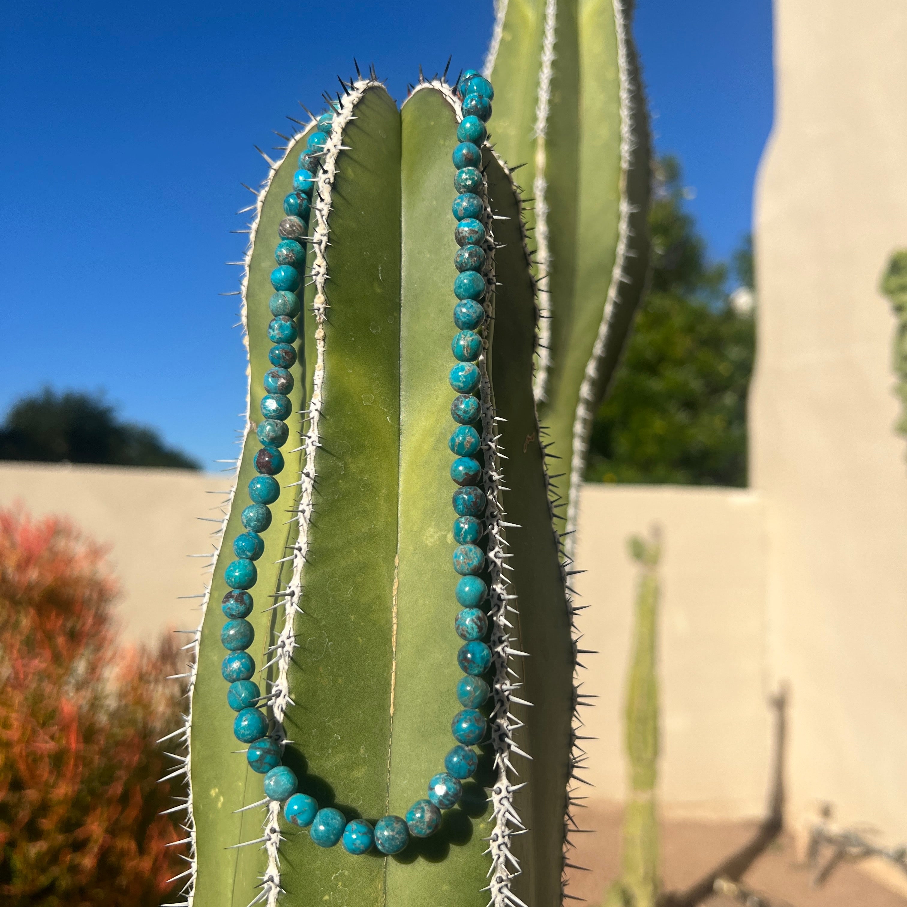 Single Stand Blue Turquoise with Orange Spiny Oyster Shell Santo Domingo