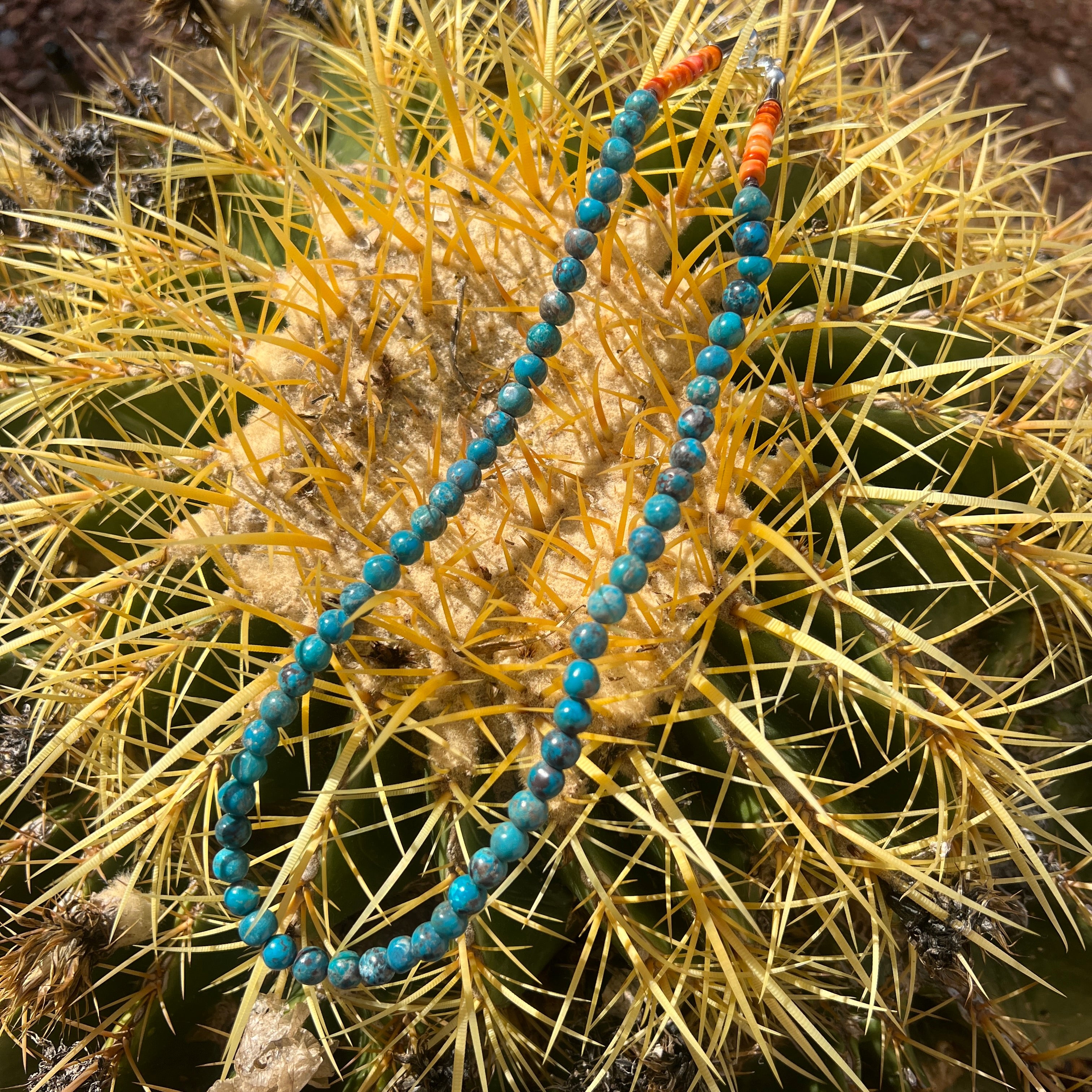 Single Stand Blue Turquoise with Orange Spiny Oyster Shell Santo Domingo