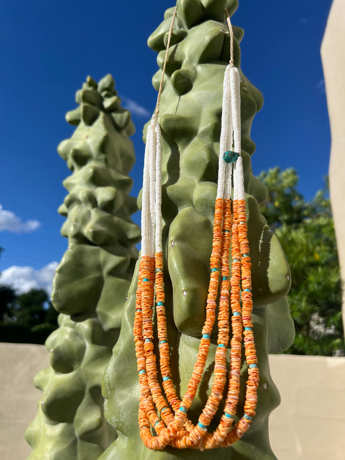 Orange Spiny Oyster and White Clam Shell Necklace Santo Domingo