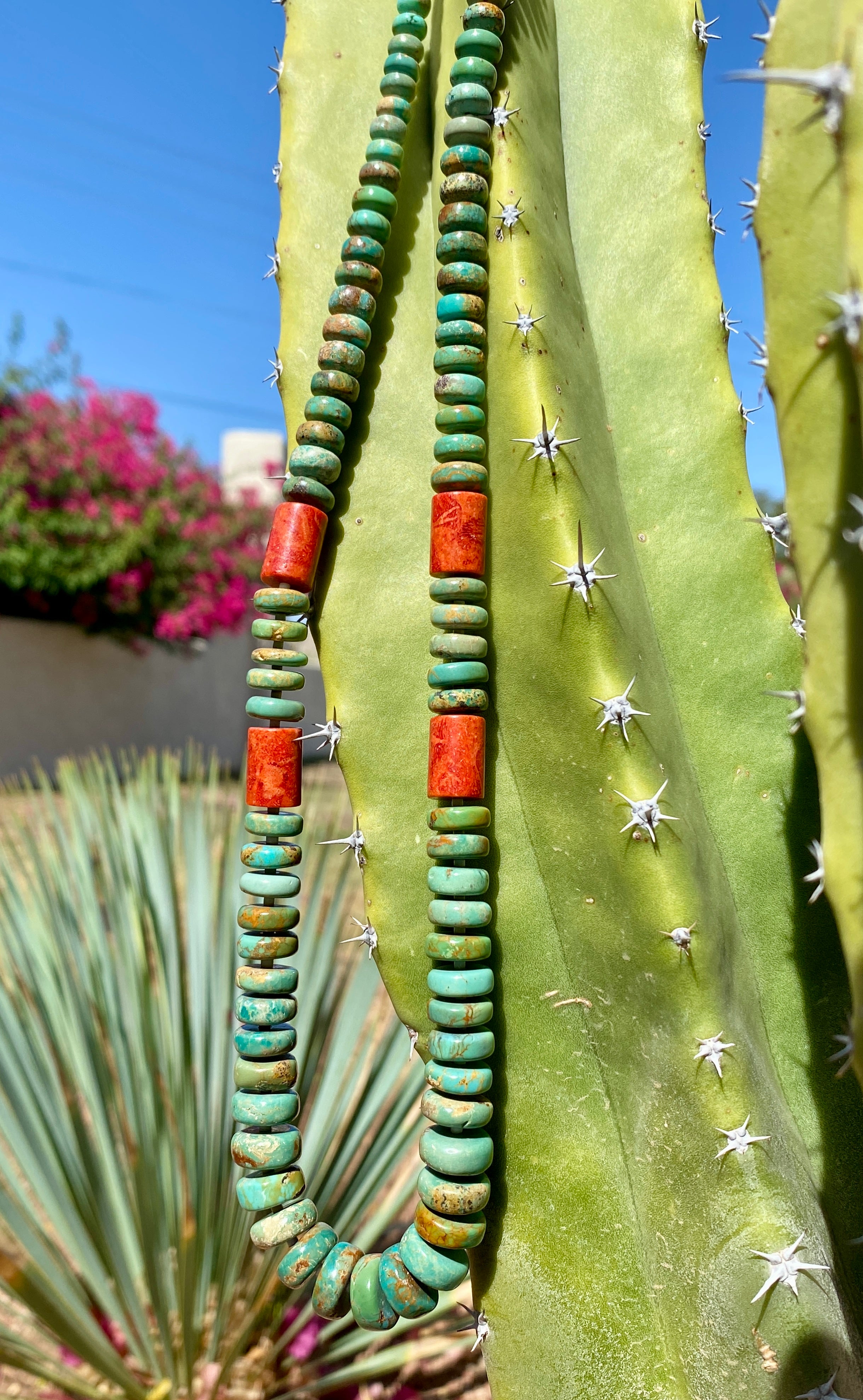 Rare Green Fox Turquoise and Apple Coral Necklace