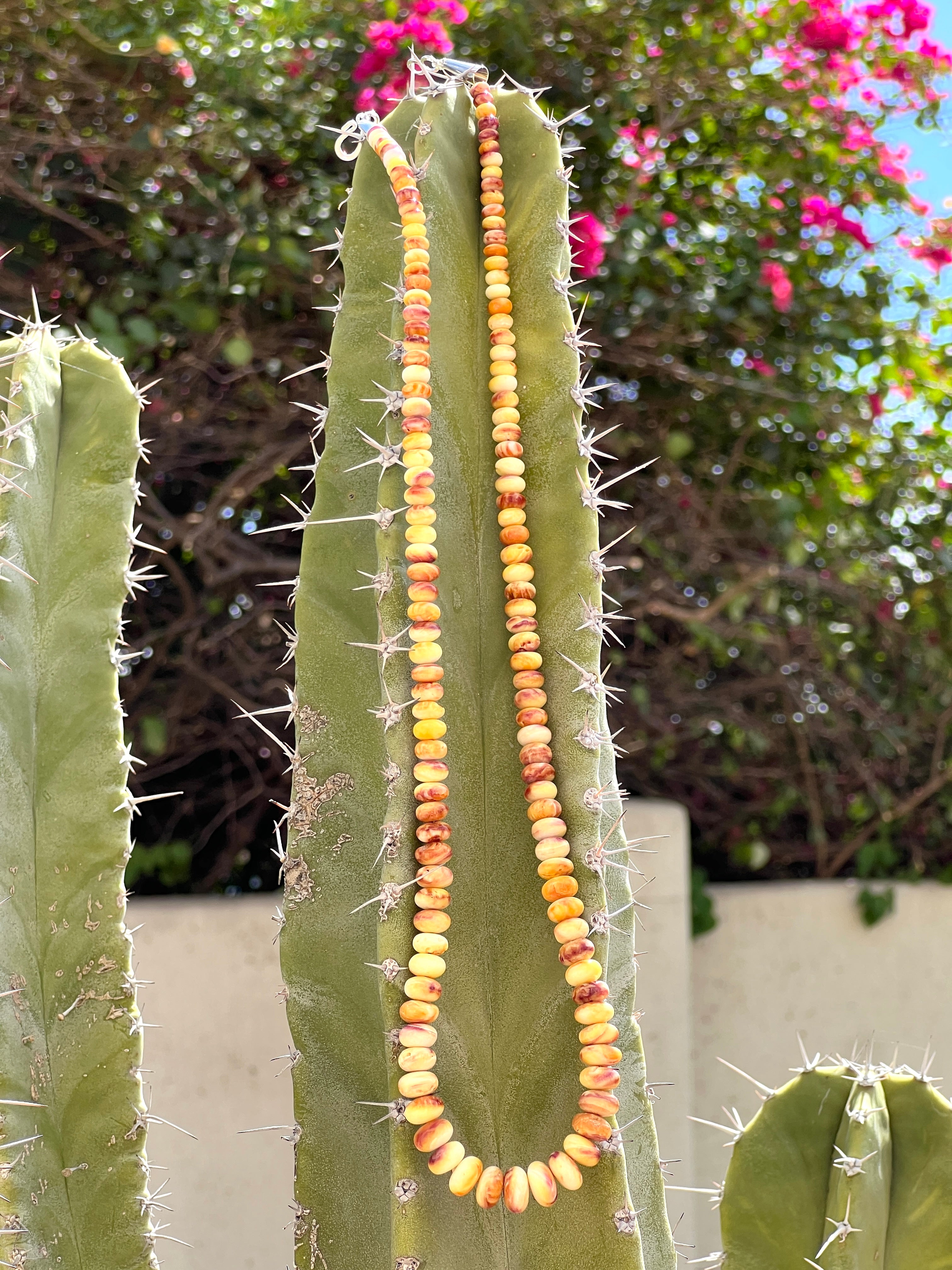 Yellow Spiny Oyster Shell Graduated Necklace
