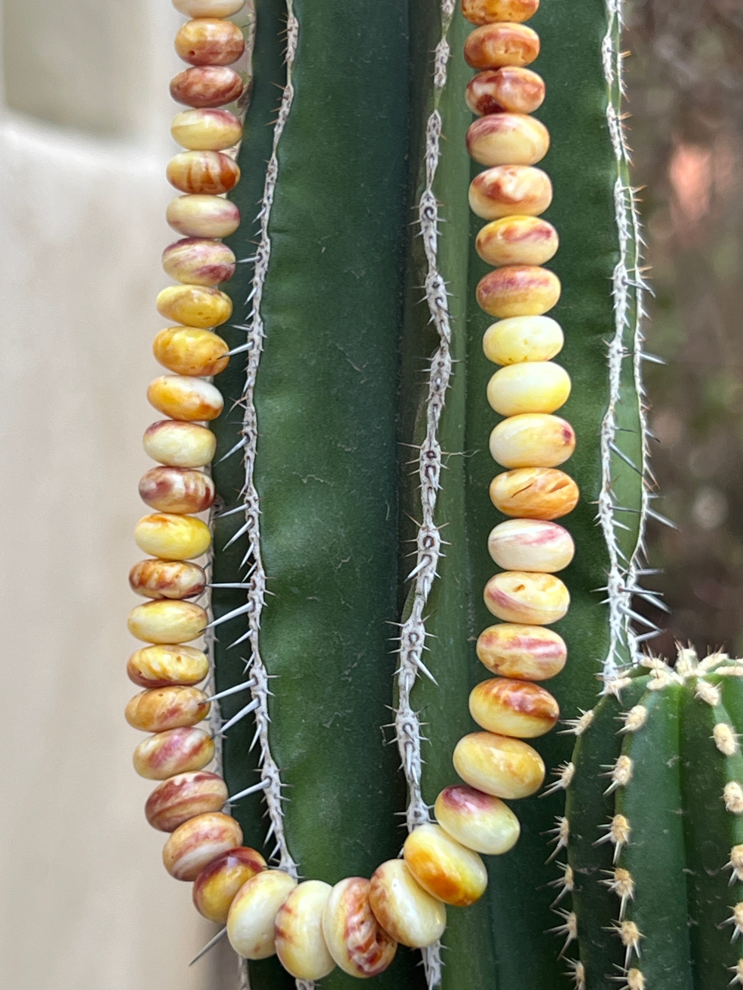 Yellow Spiny Oyster Shell Graduated Necklace