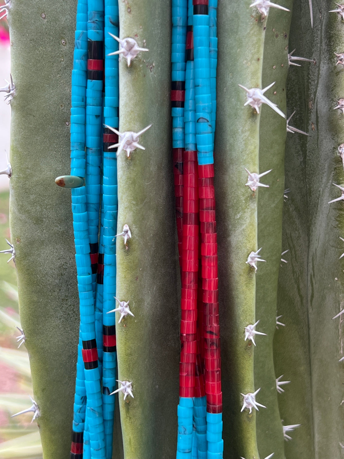 Turquoise and Apple Coral Santo Domingo Necklace