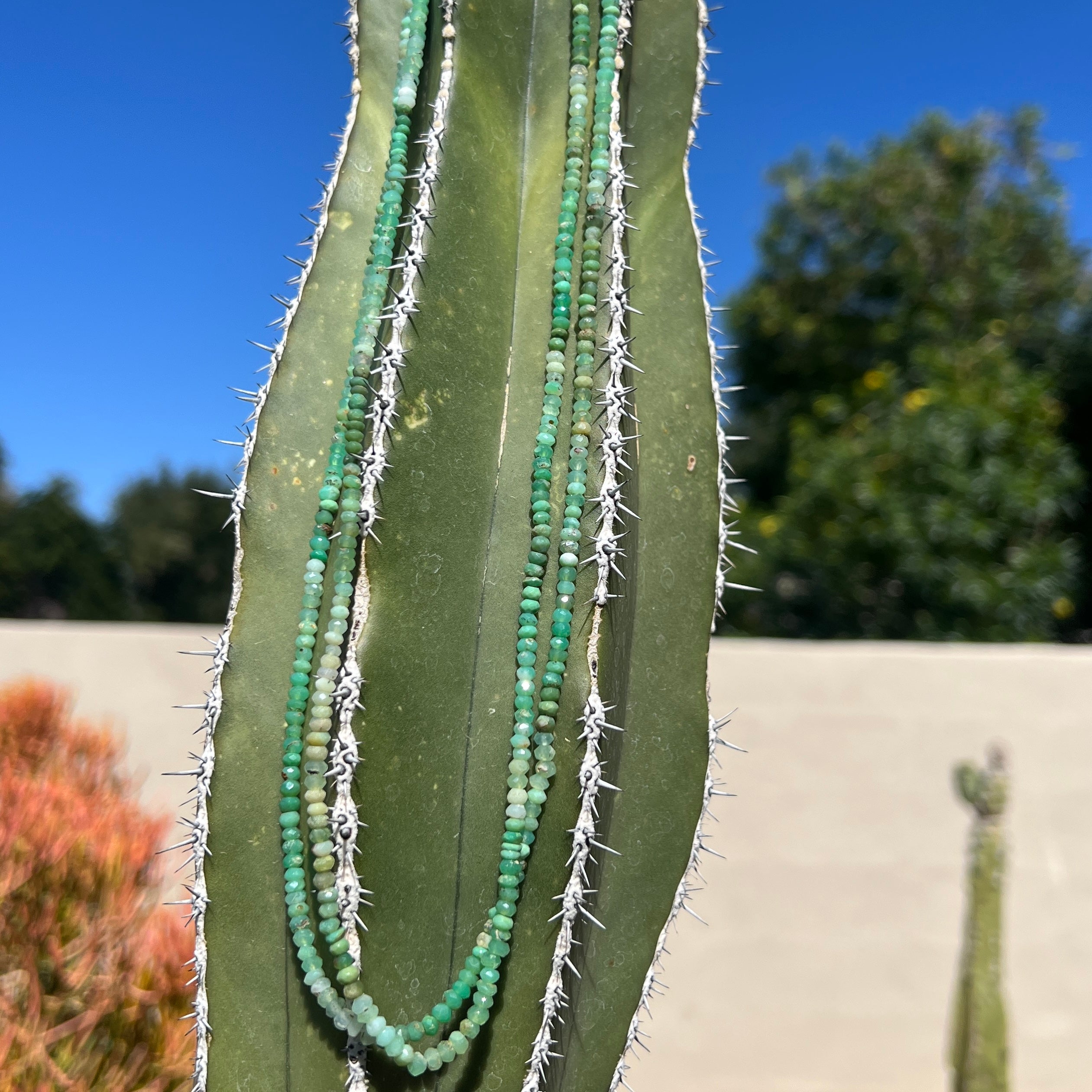 Faceted Chrysoprase Long Necklace