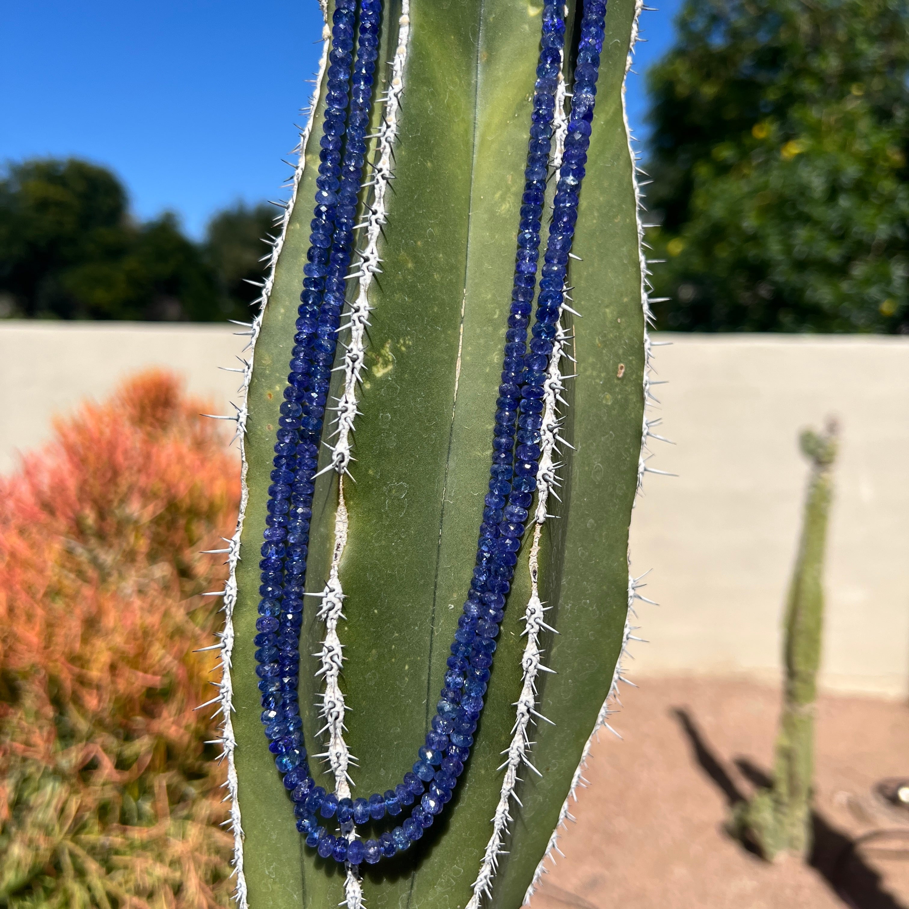 Rare Faceted Tanzanite Long Necklace