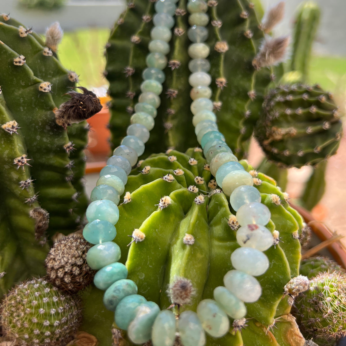 African Aqua Chalcedony  (Aquaprase) Faceted Choker Necklace