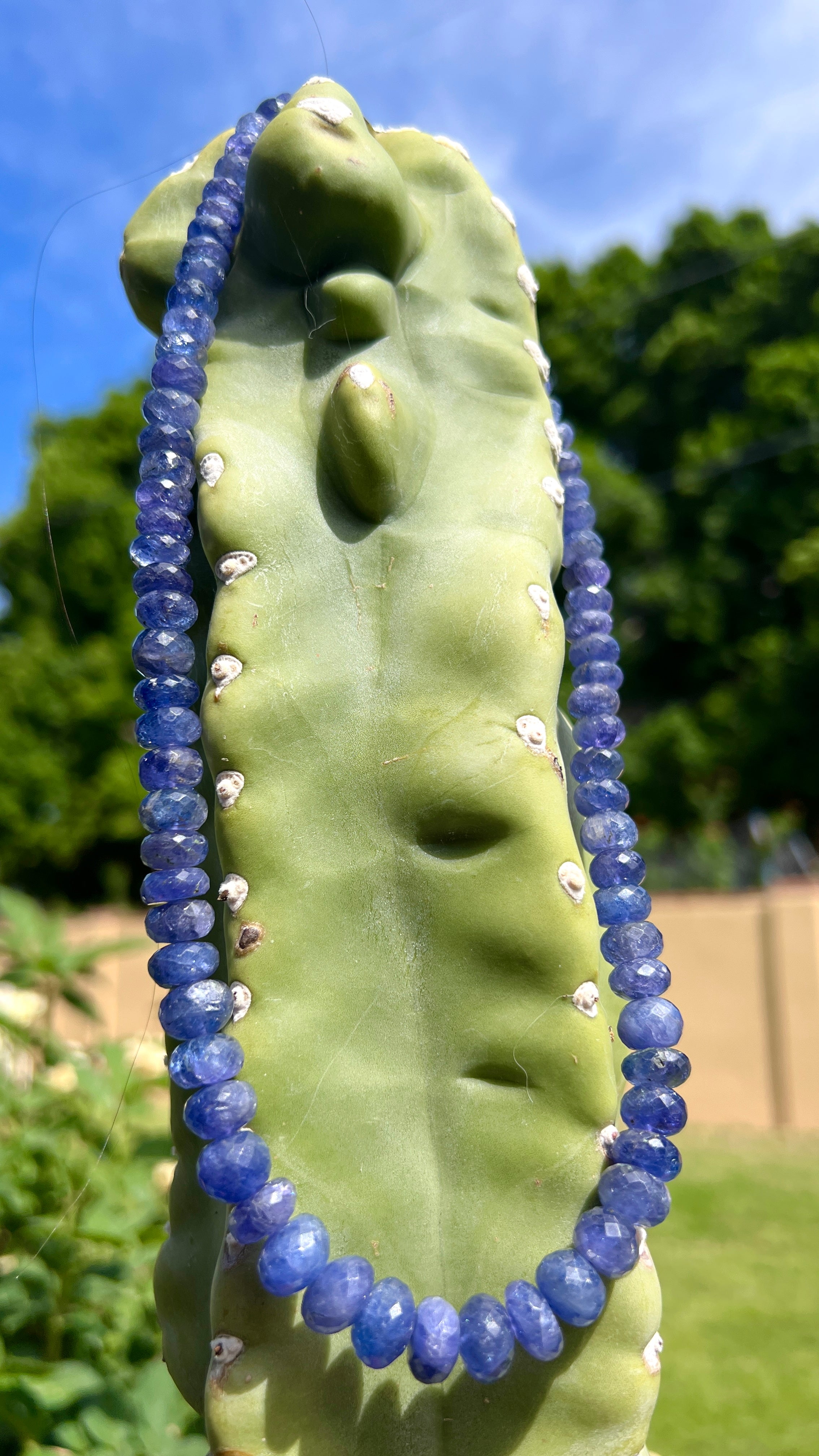 Extraordinary Tanzanite Faceted Graduated Necklace