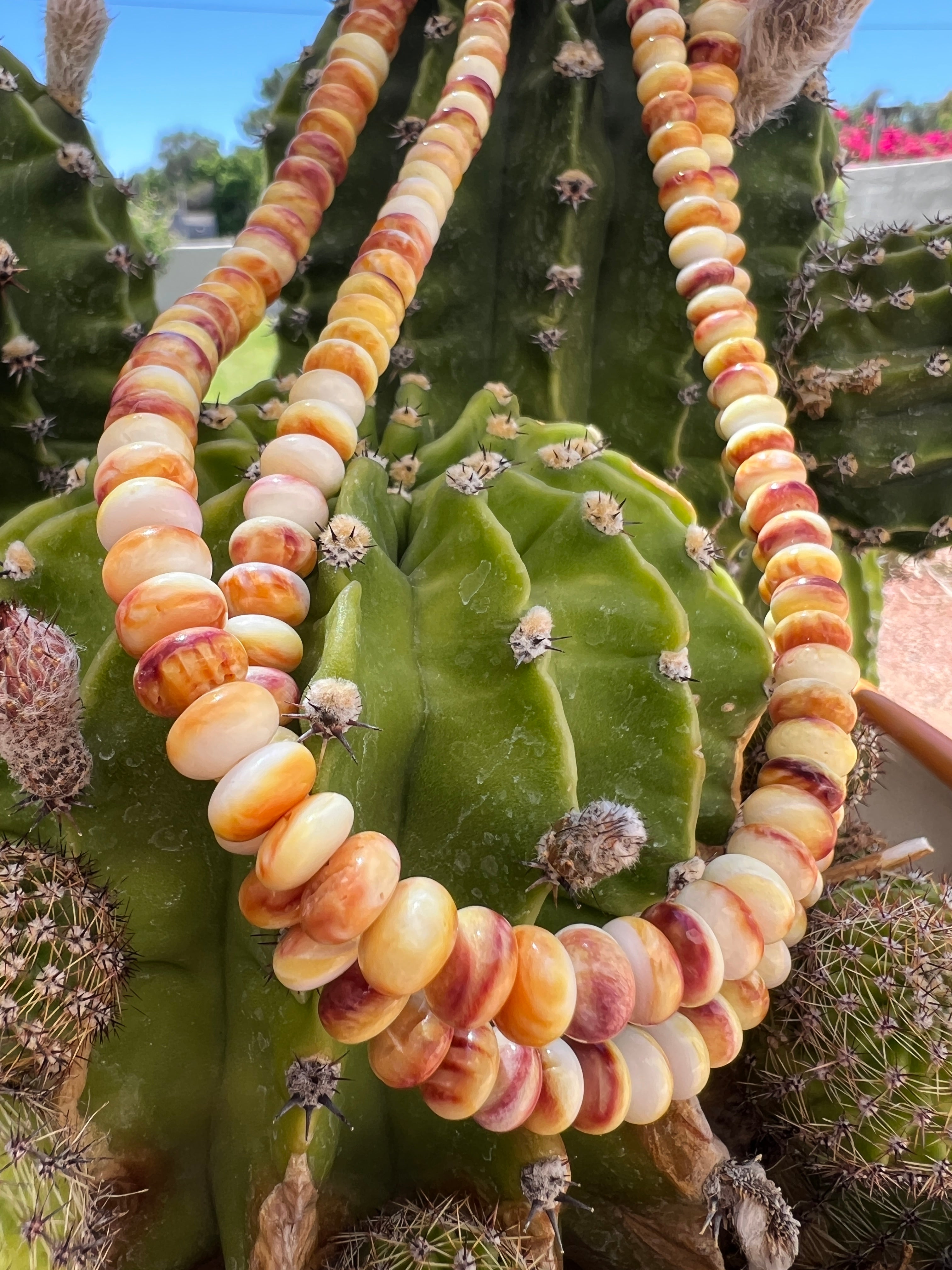 Long Yellow Spiny Oyster Graduated Necklace