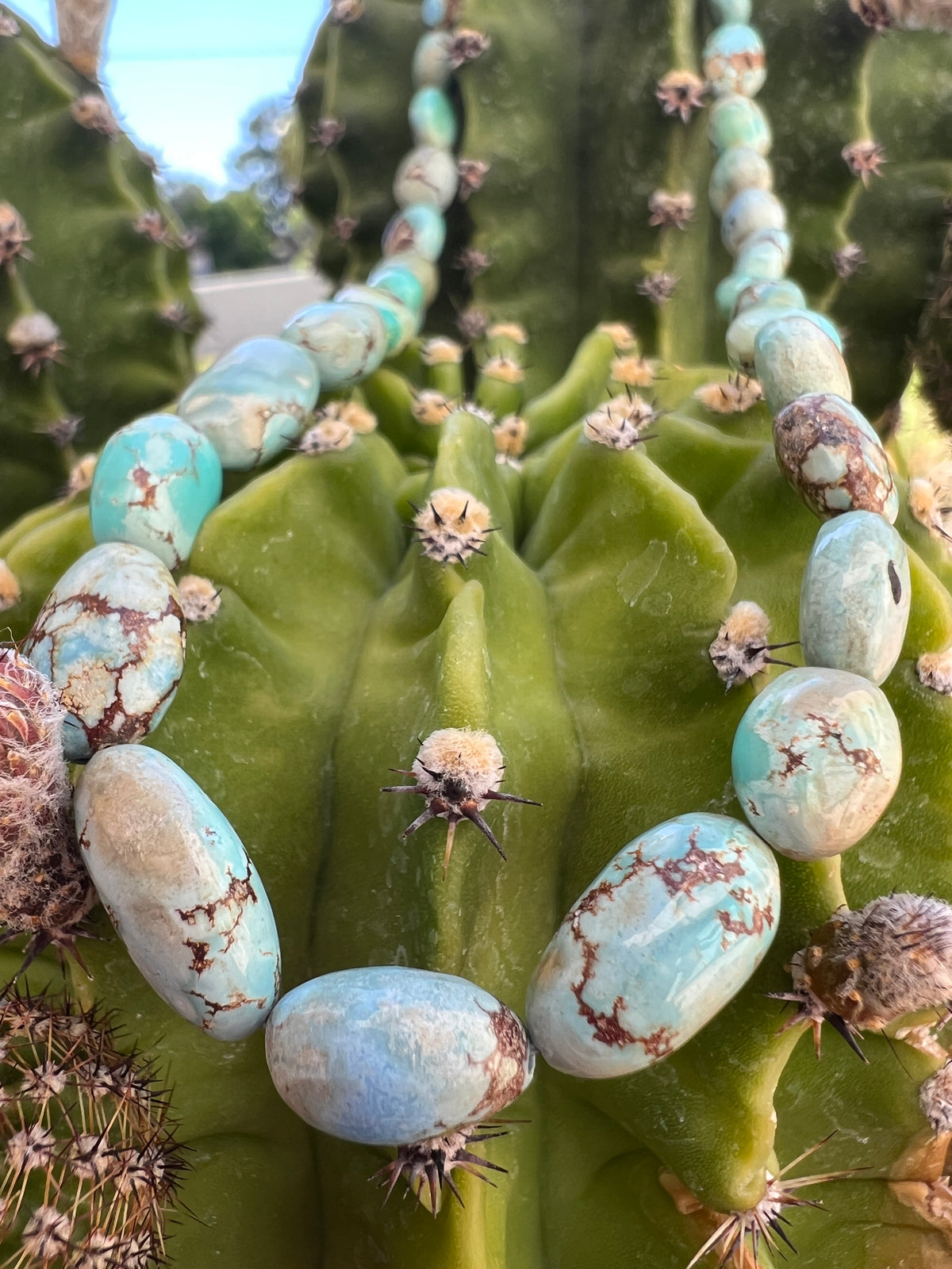 Exotic Rare Golden Hill Turquoise Graduated Necklace