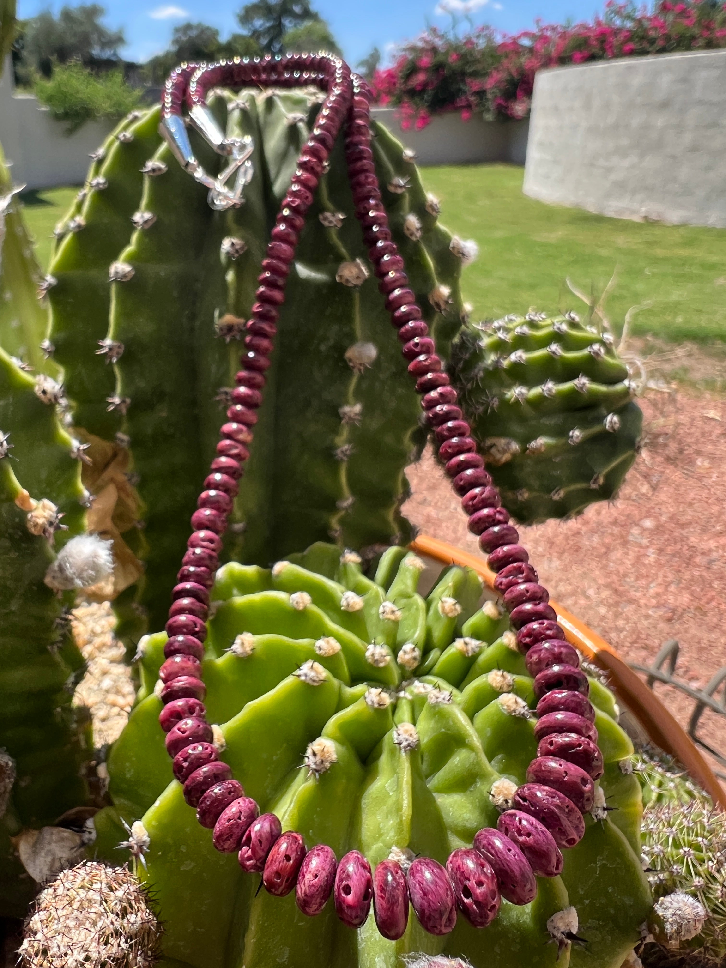 Rare Purple Spiny Oyster Shell Graduated Necklace