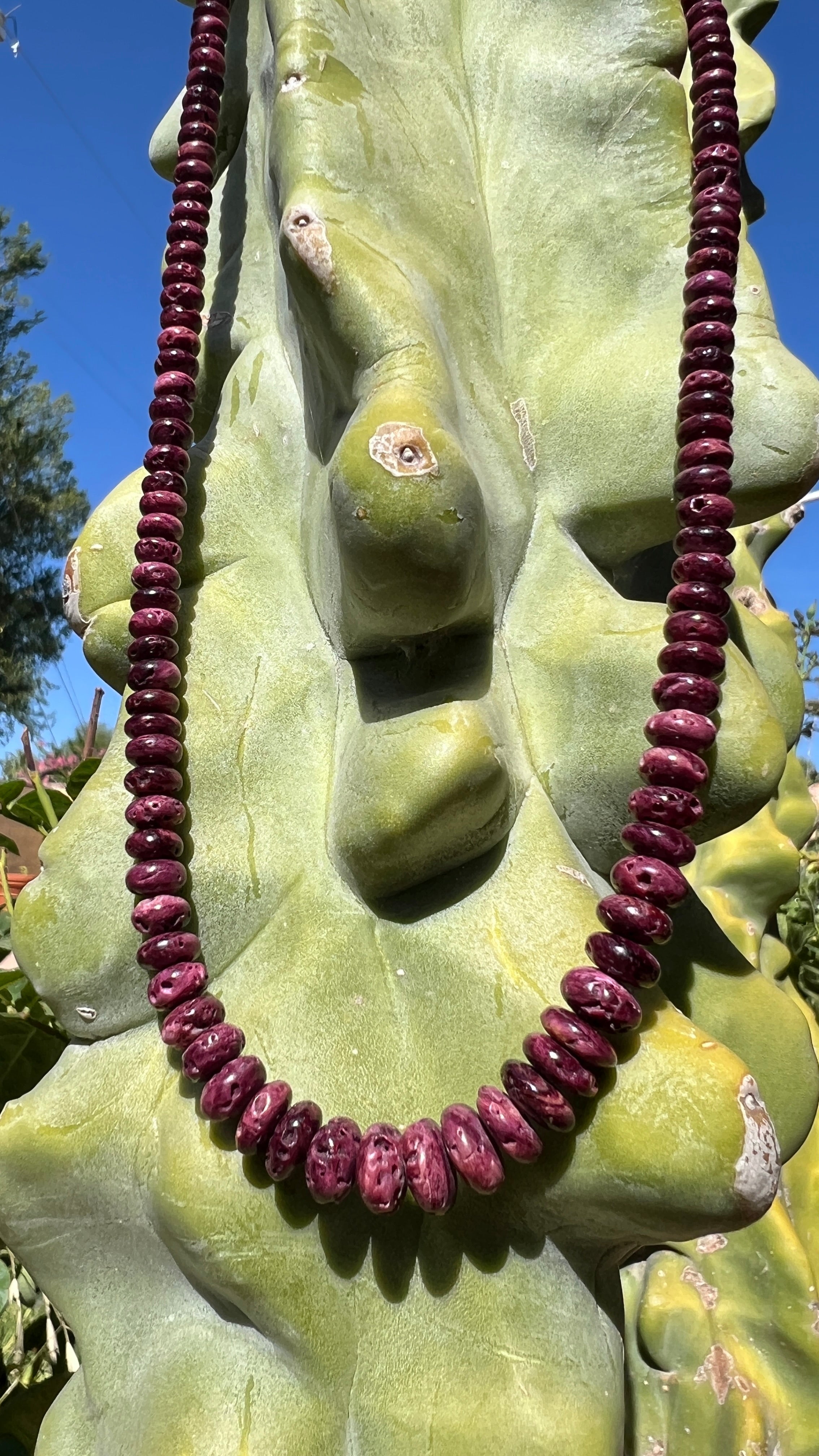 Rare Purple Spiny Oyster Shell Graduated Necklace