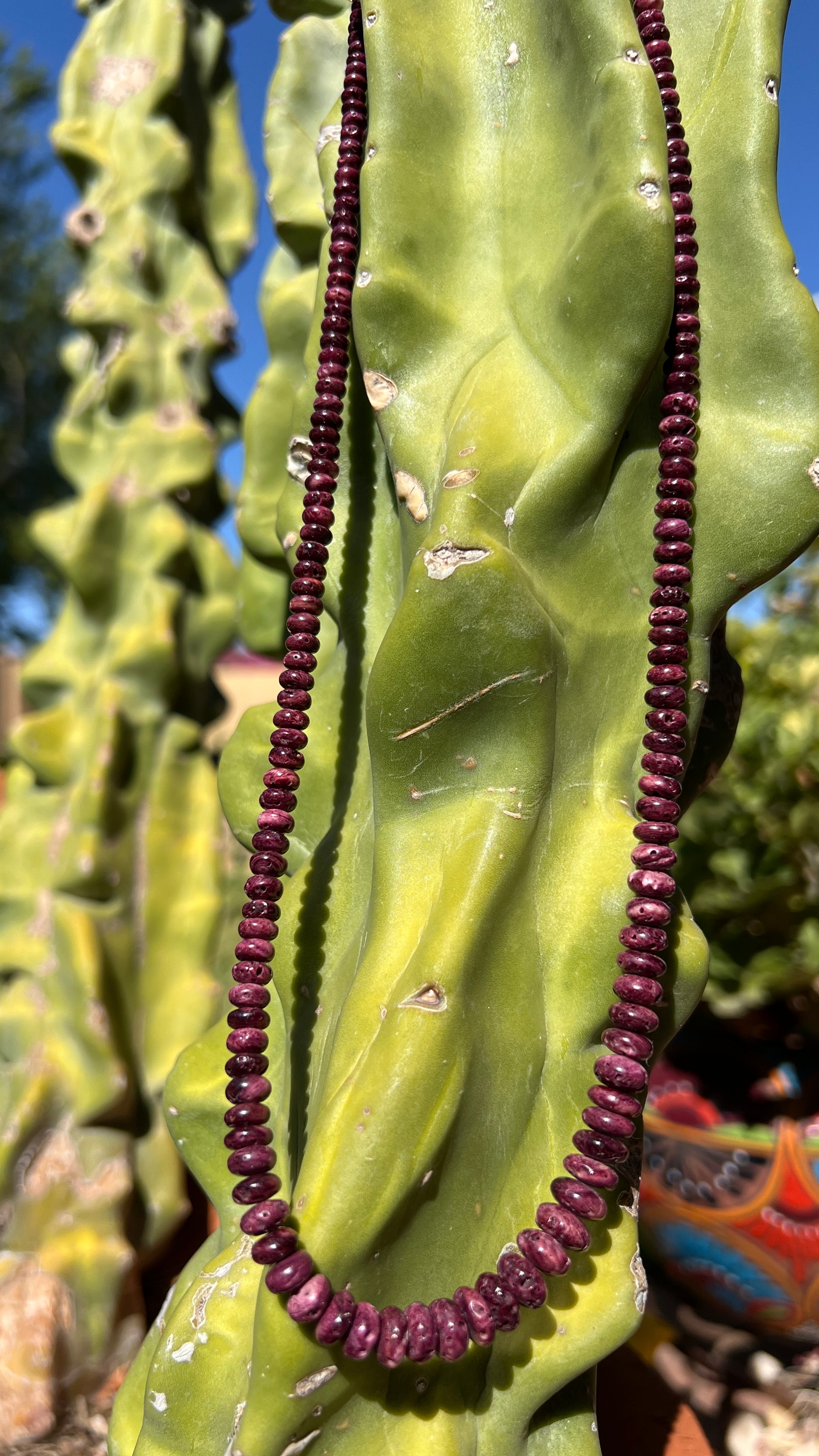 Rare Purple Spiny Oyster Shell Graduated Necklace
