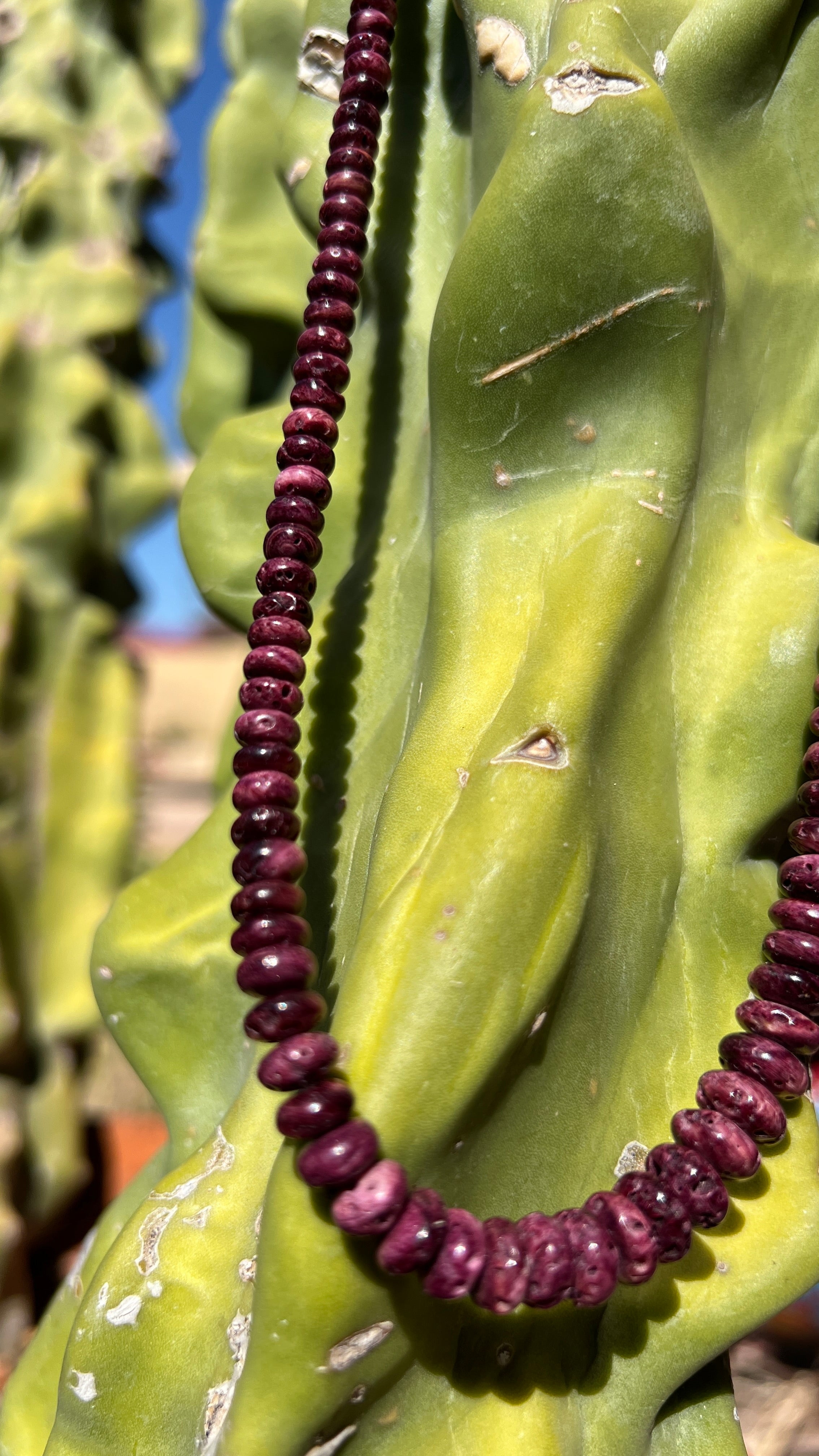 Rare Purple Spiny Oyster Shell Graduated Necklace