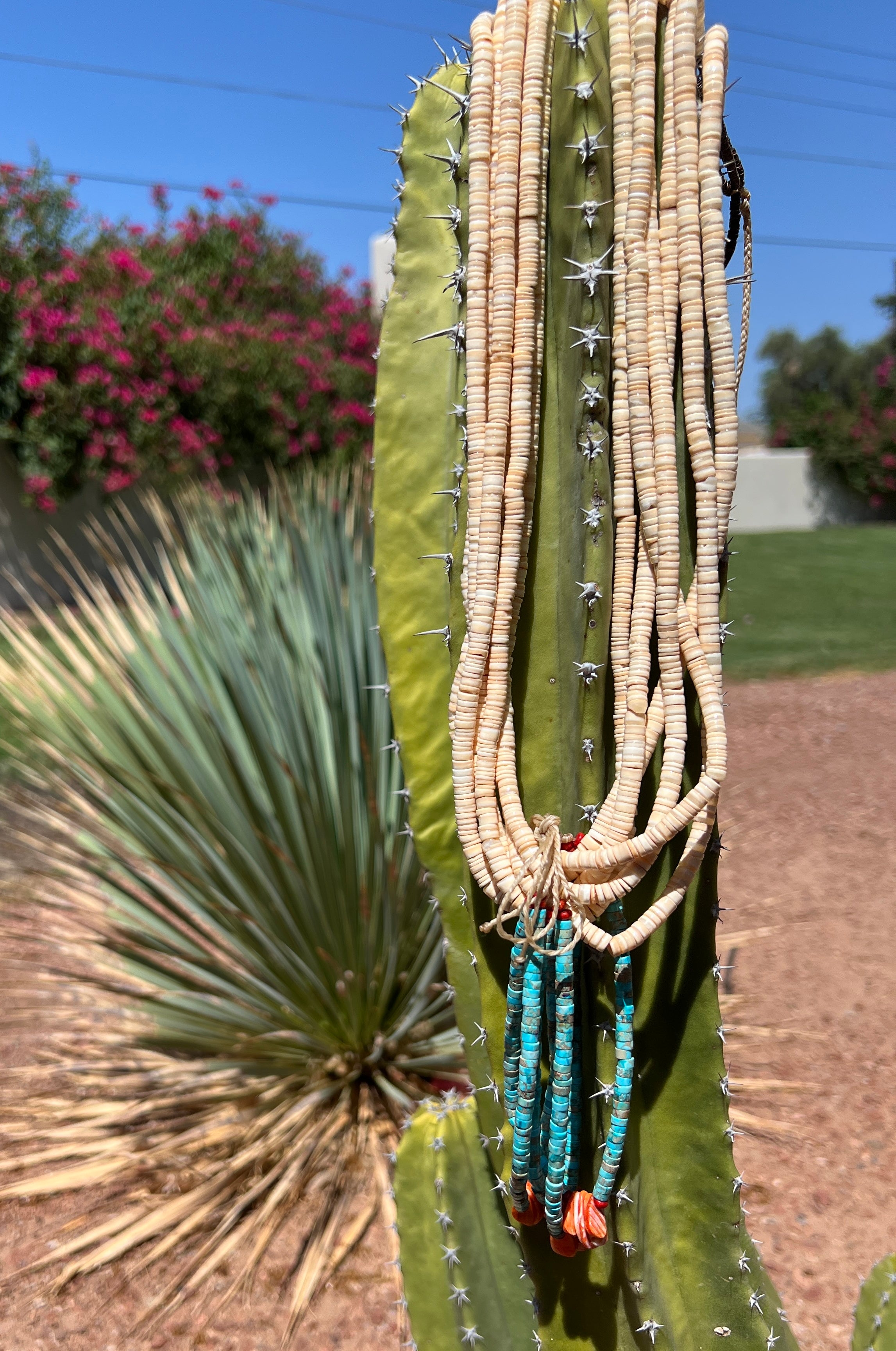 Clam Shell Turquoise Spiny Oyster Jacla Necklace