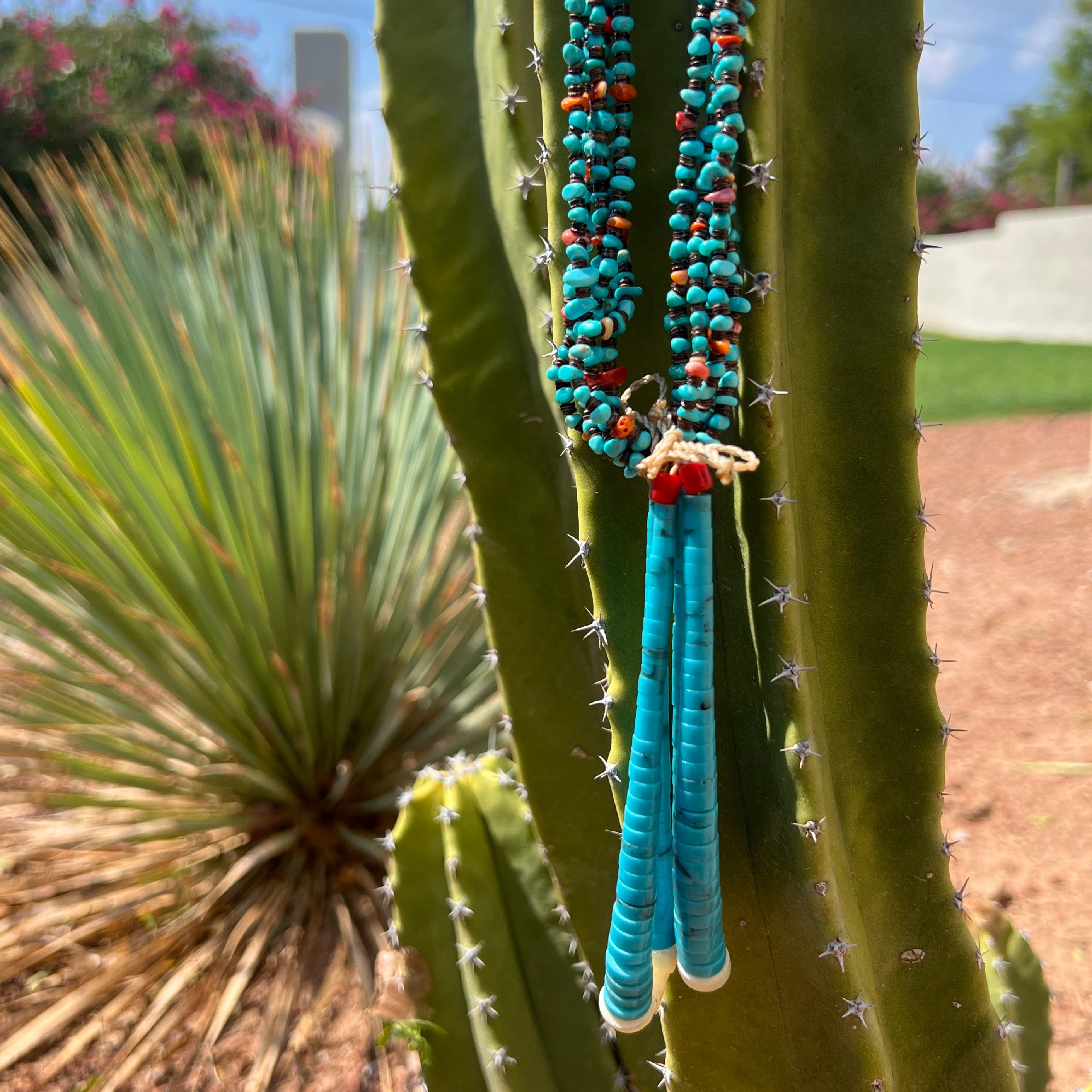 Turquoise Spiny Oyster and Baby Olive Shell Heishi Jacla Necklace Santo Domingo