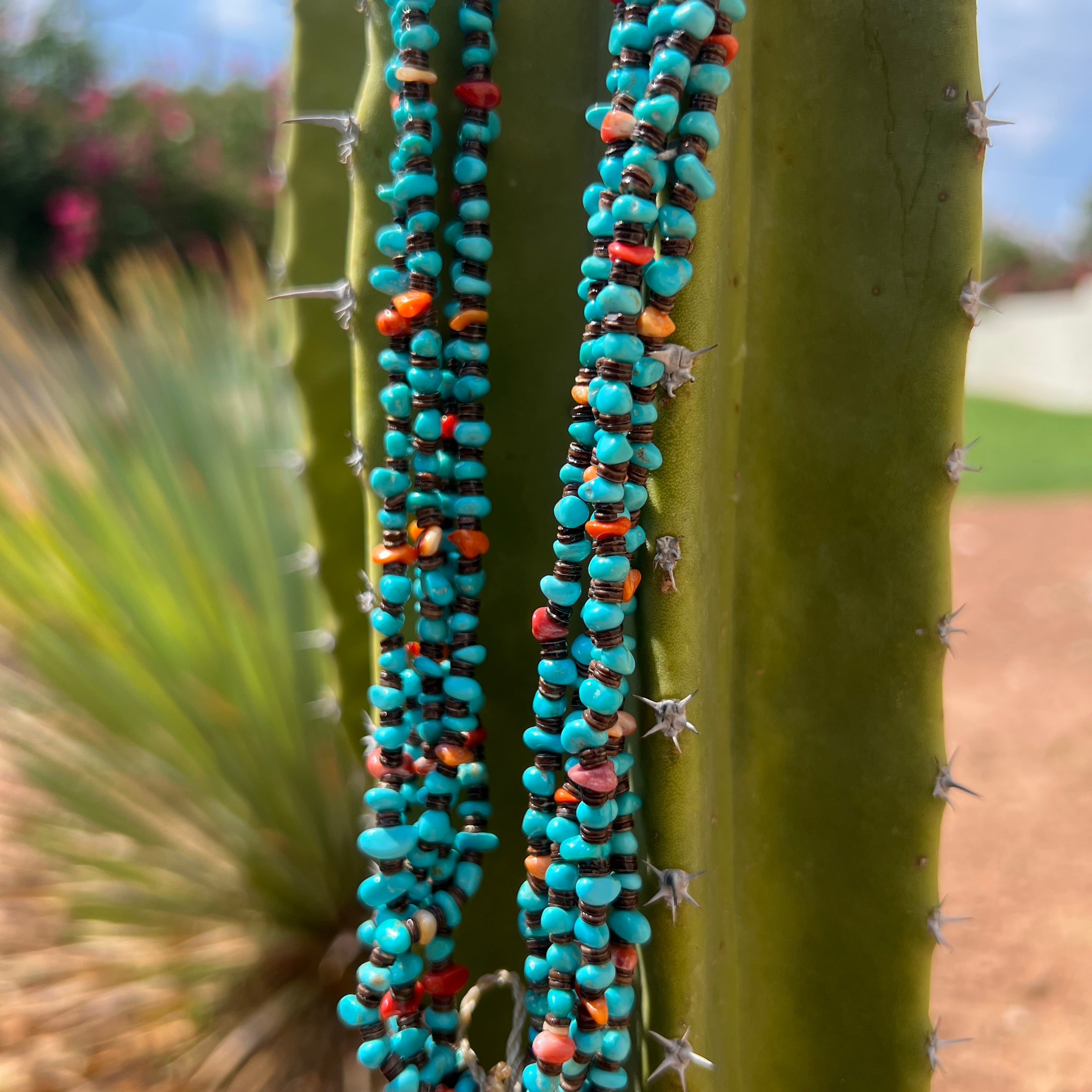 Turquoise Spiny Oyster and Baby Olive Shell Heishi Jacla Necklace Santo Domingo