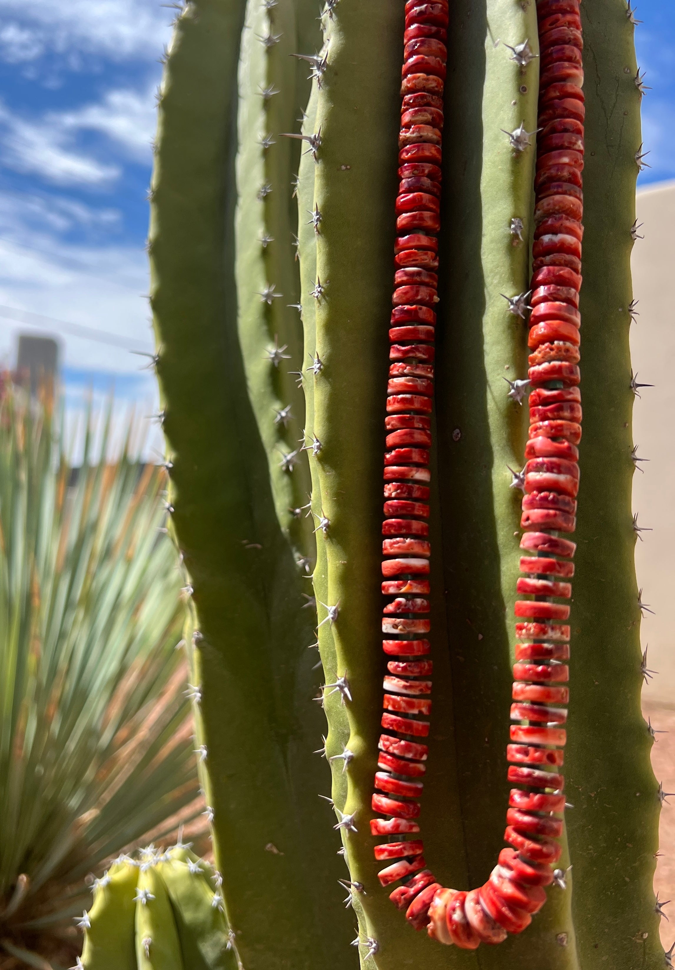 Rare Red Spiny Oyster and Kingman Turquoise Necklace Santo Domingo