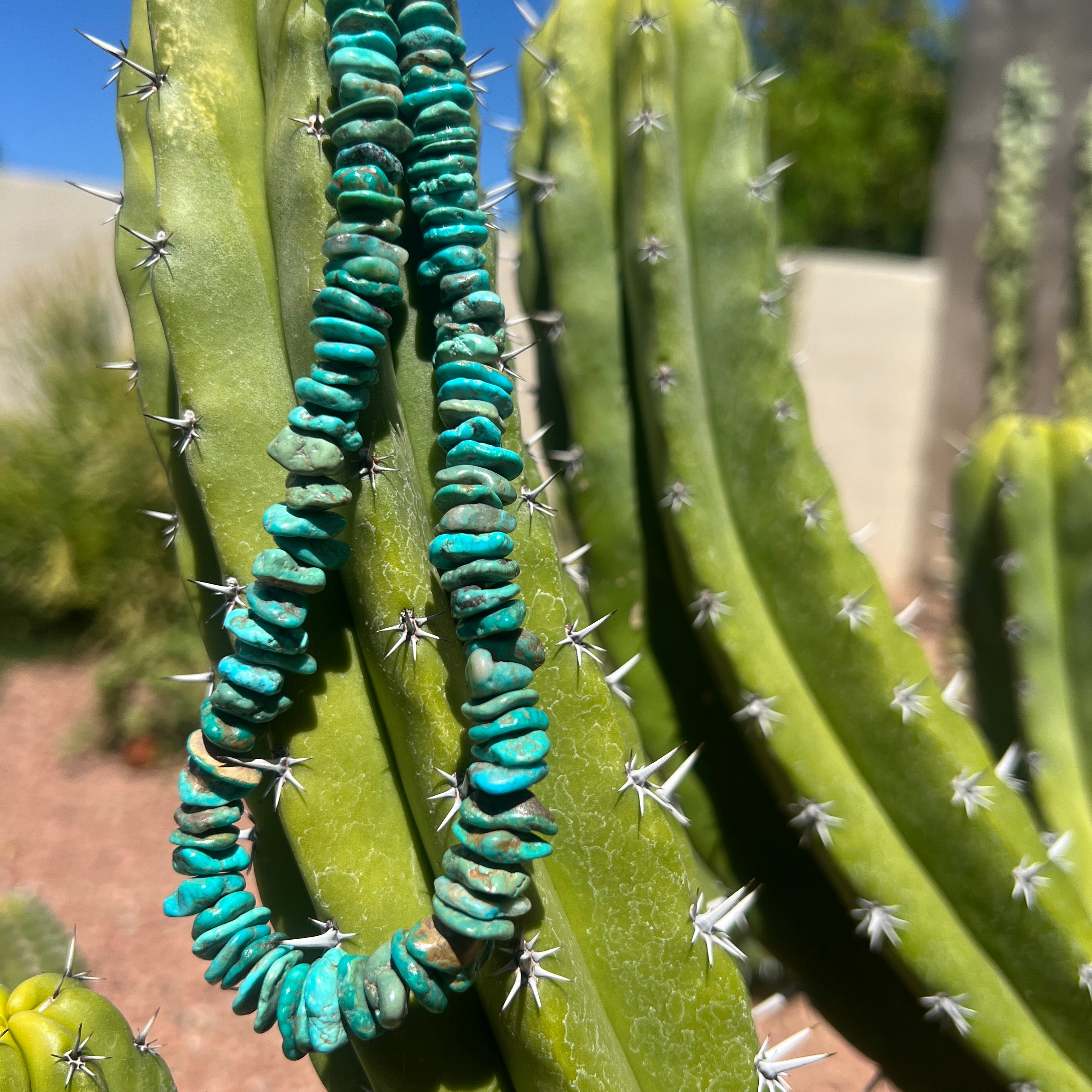 Checker Nevada Blue Turquoise Necklace Santo Domingo
