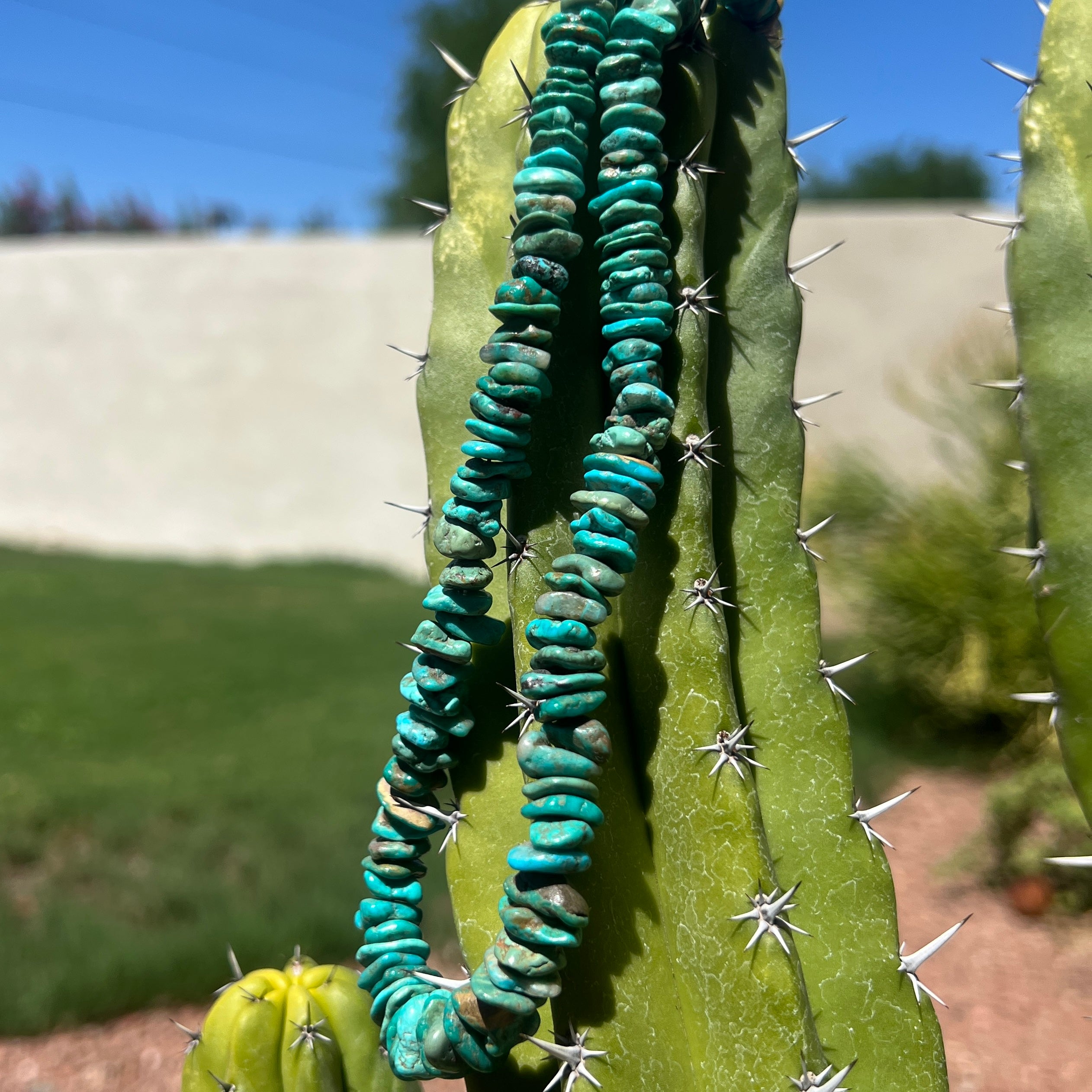 Checker Nevada Blue Turquoise Necklace Santo Domingo