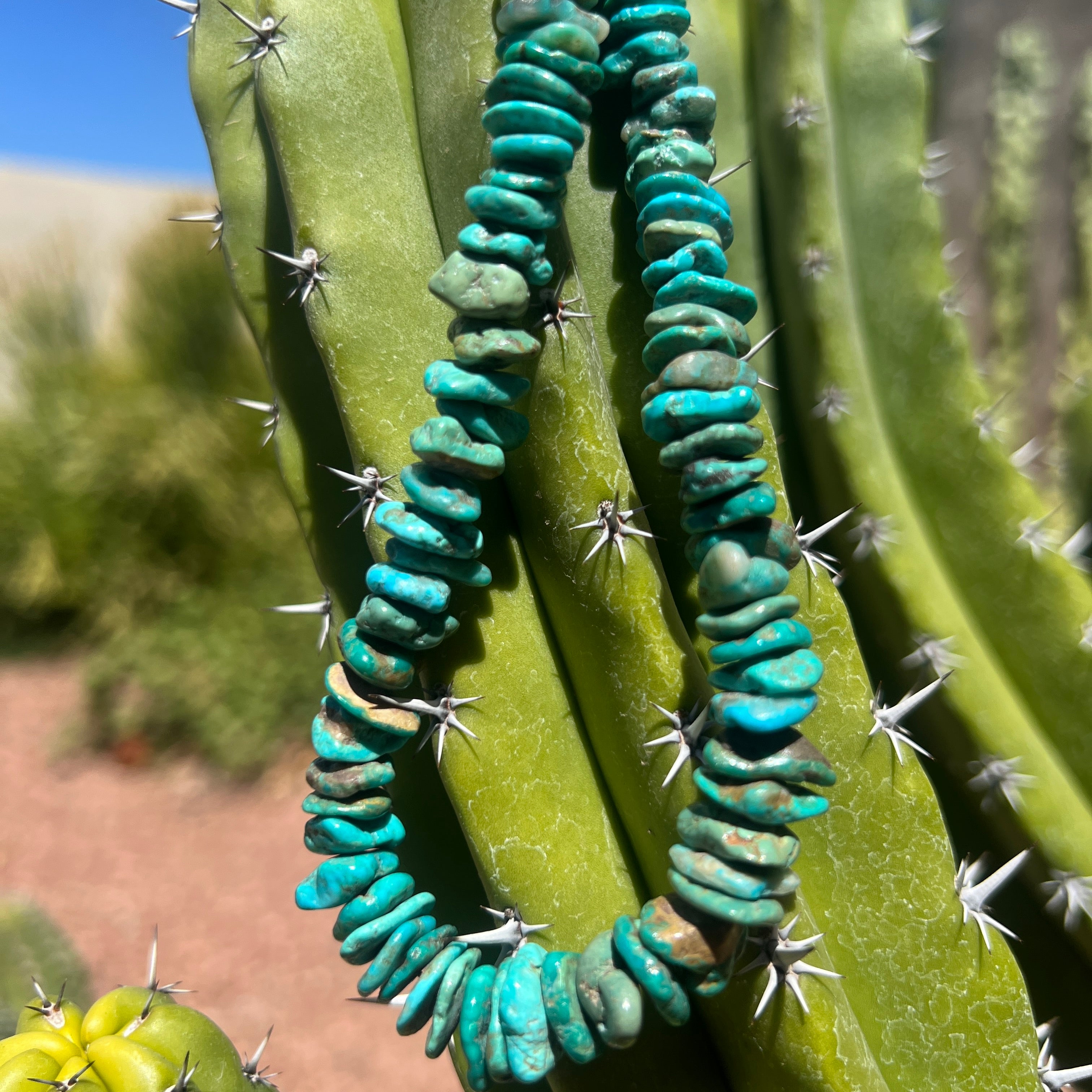 Checker Nevada Blue Turquoise Necklace Santo Domingo