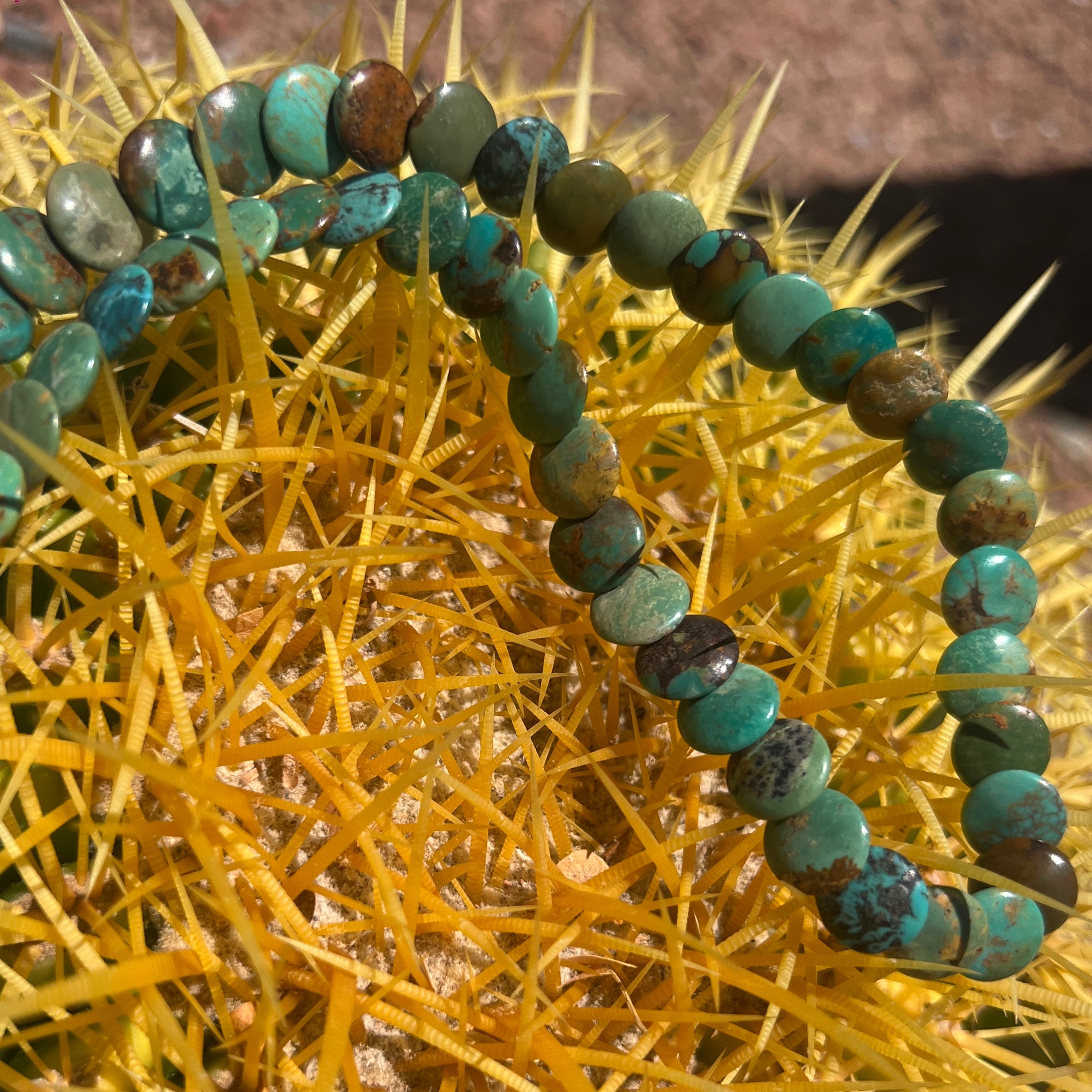 Rare Royston Disc Turquoise Necklace Santo Domingo