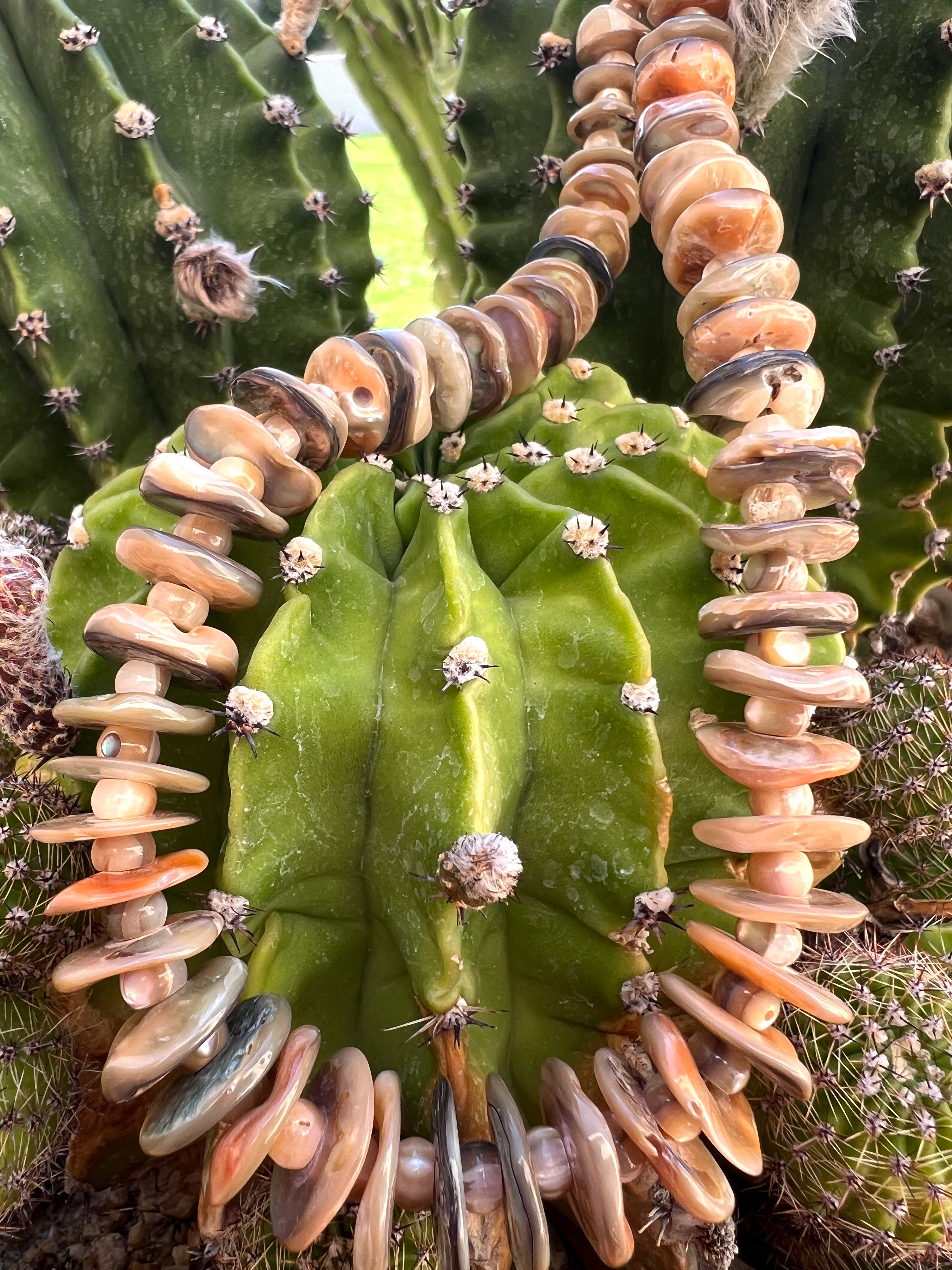 Abalone Shell Graduated Necklace Santo Domingo