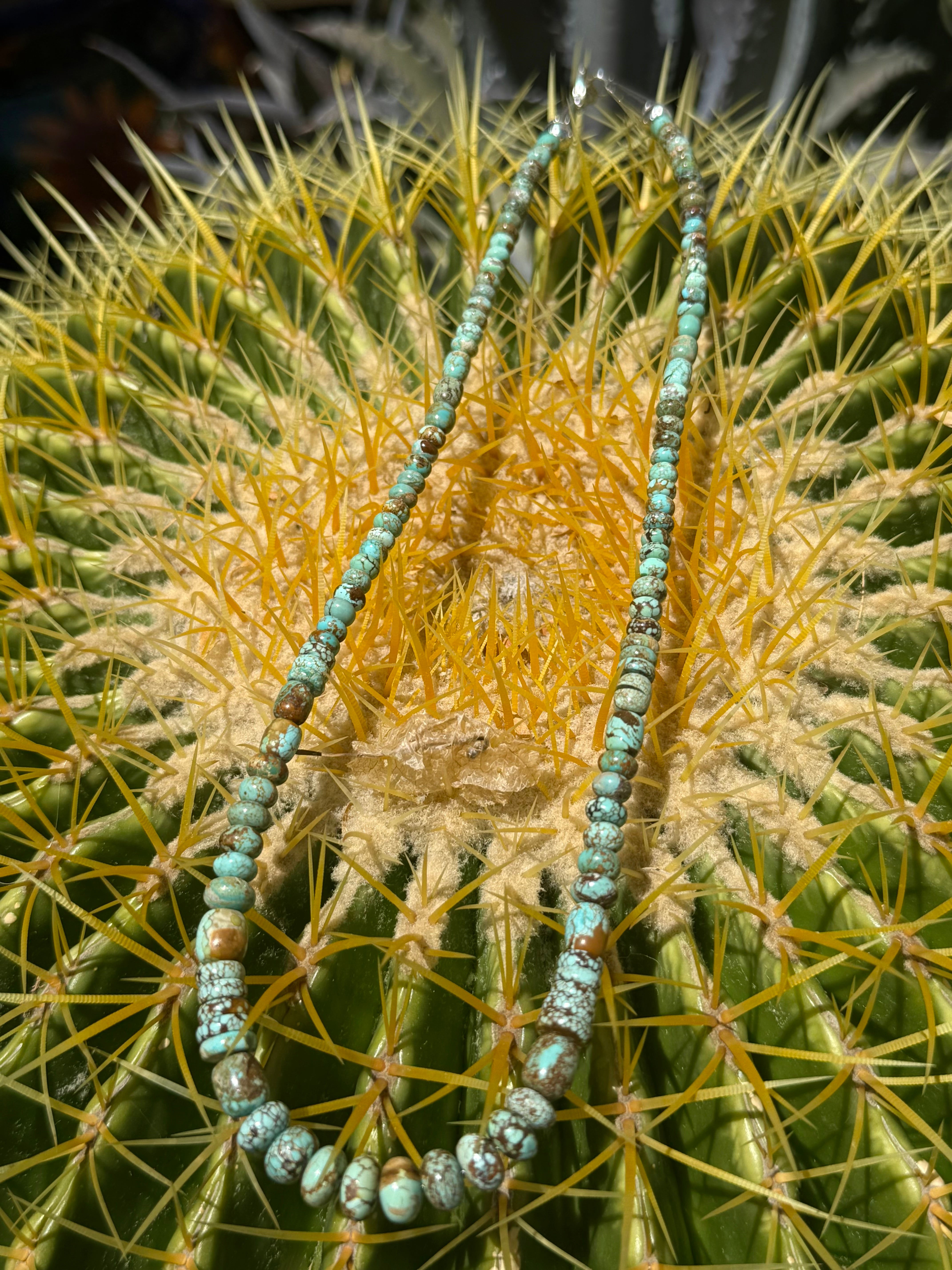 Rare Carico Lake Turquoise Graduated Necklace