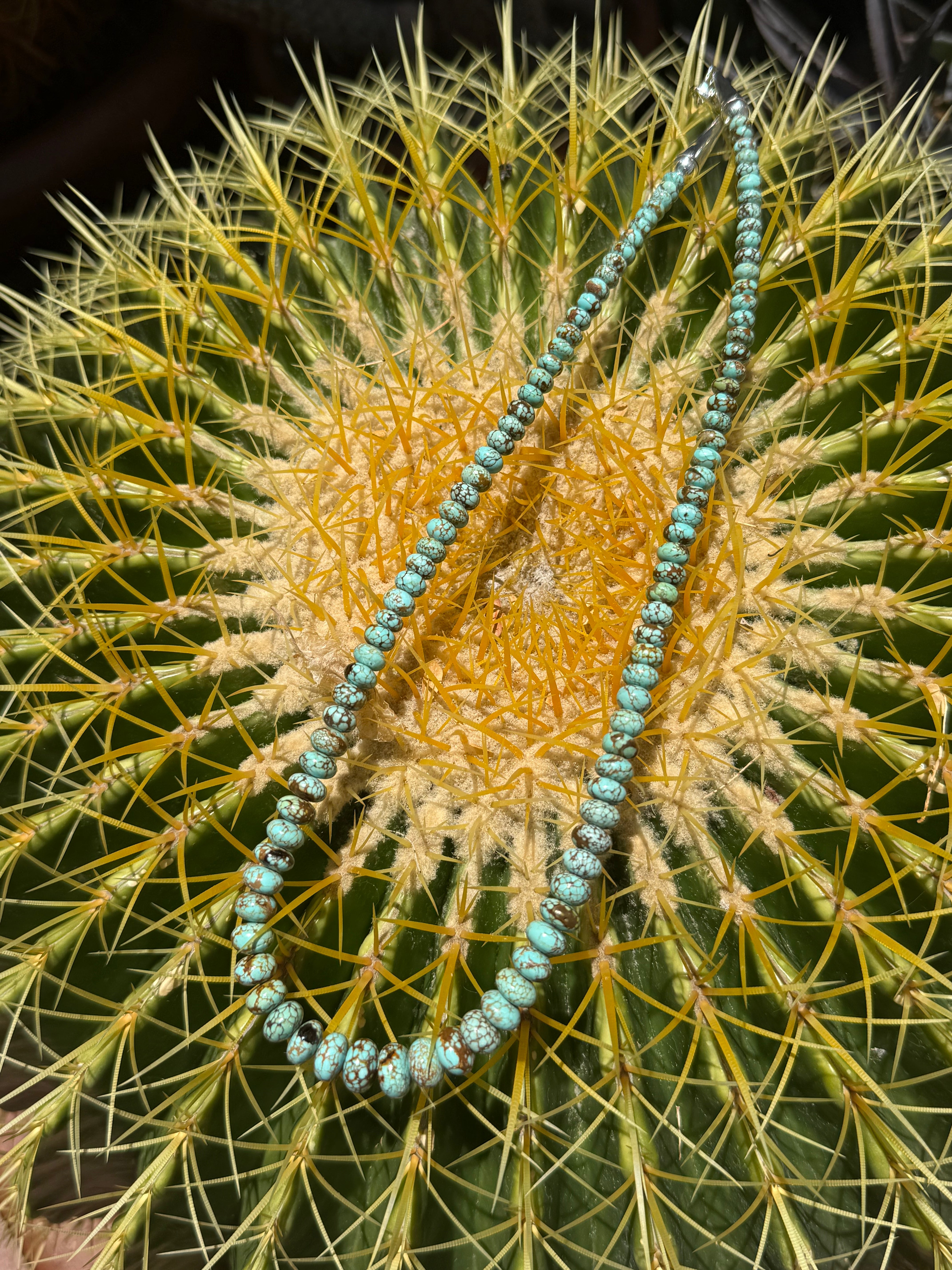 Rare Carico Lake Turquoise Graduated Necklace
