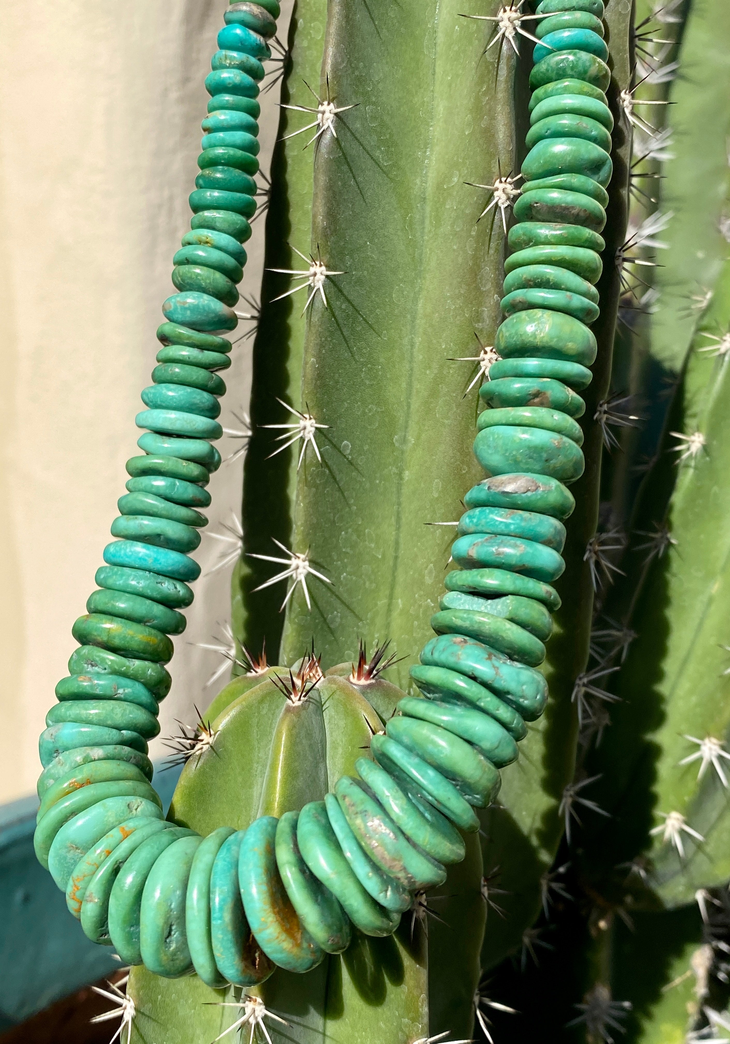 Chunky Fox Green Turquoise and Heishi Necklace