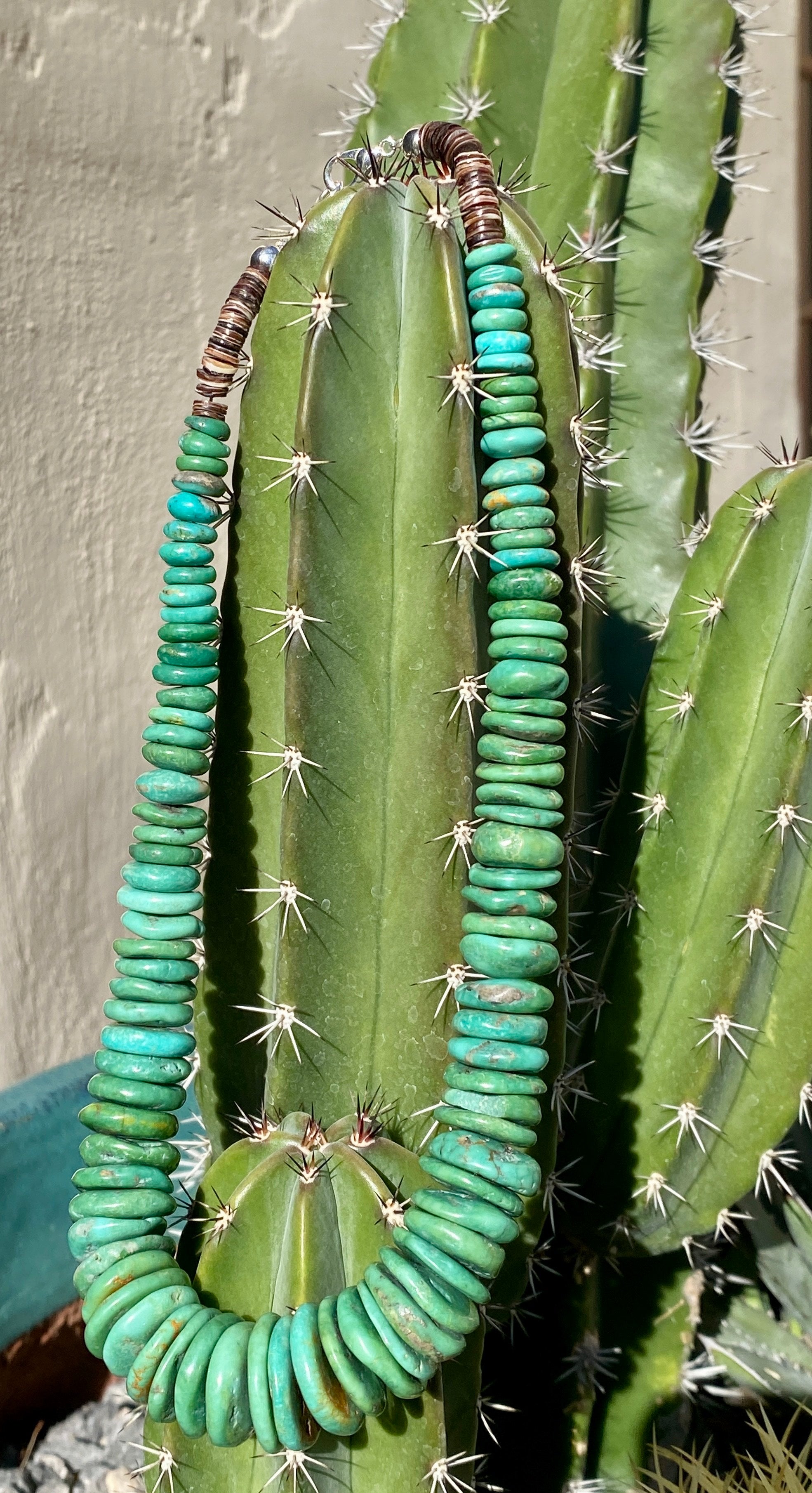 Chunky Fox Green Turquoise and Heishi Necklace