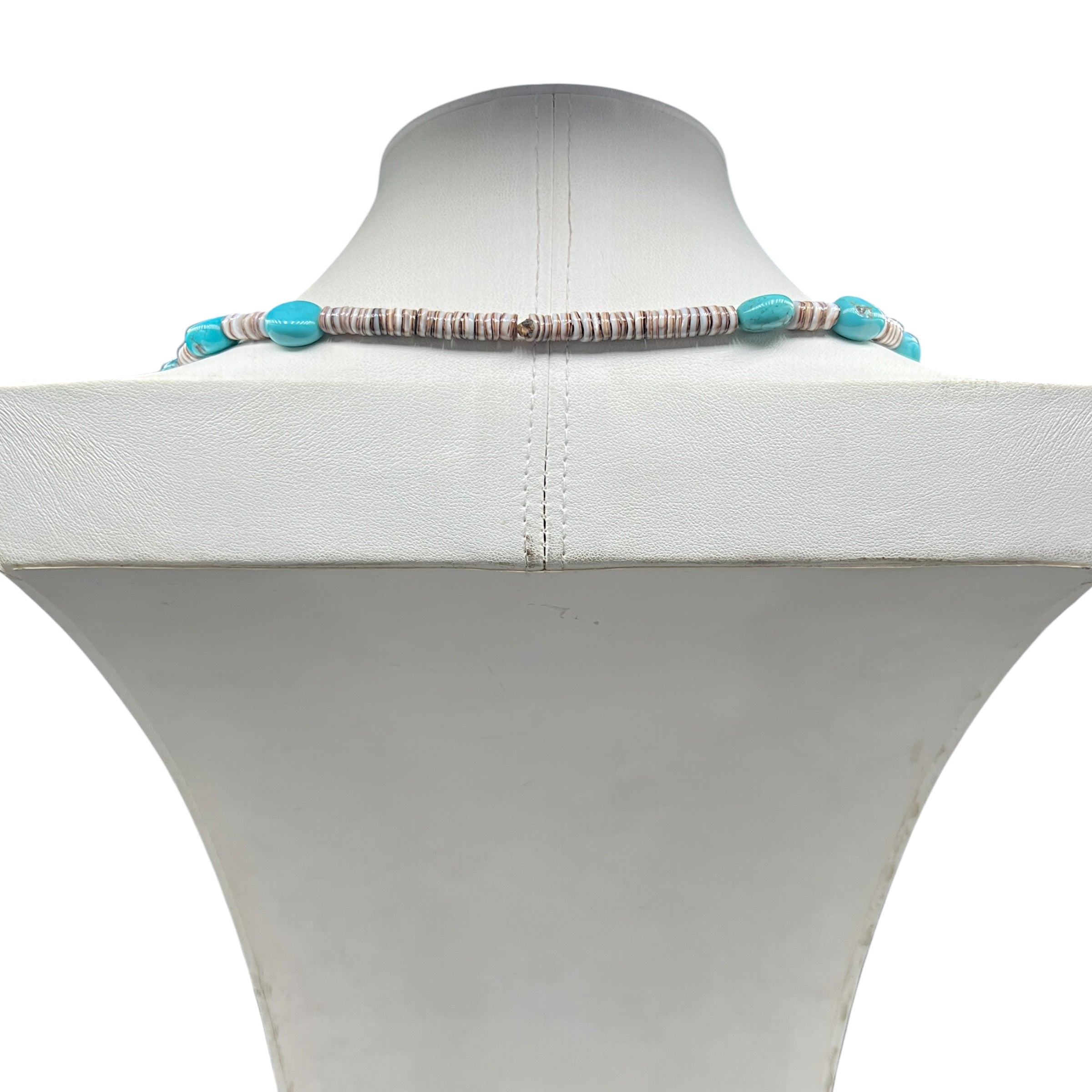 Rare Sleeping Beauty Turquoise and Heishi Santo Domingo Necklace