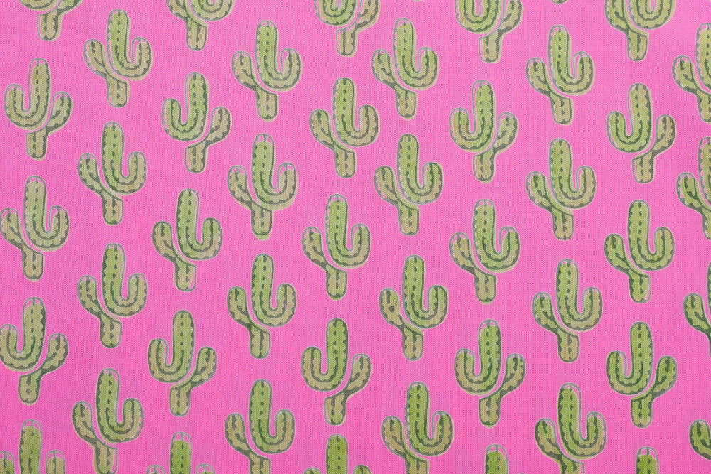 Prickly Pax Pink Cactus Pajamas Long Sleeve